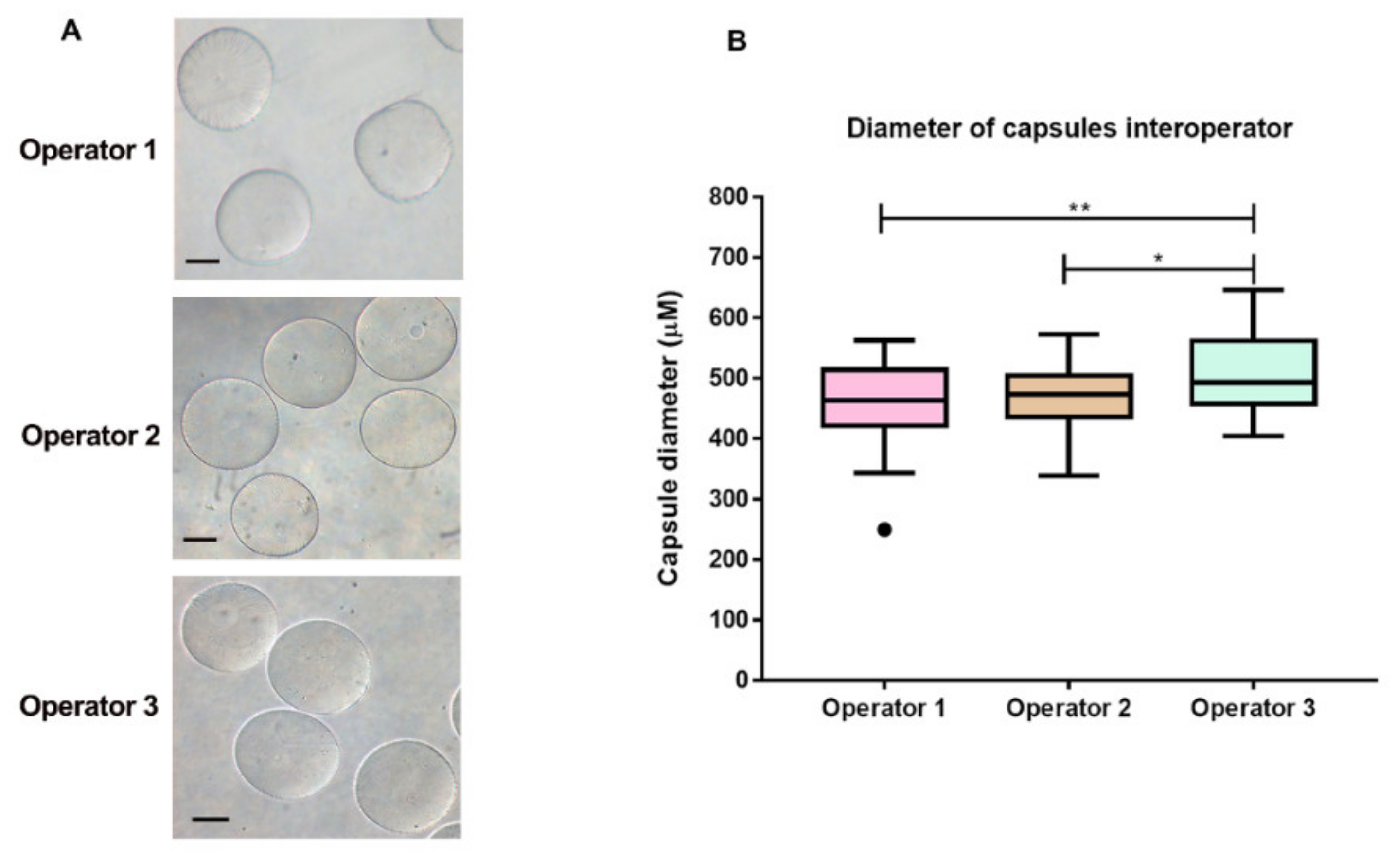 Materials 13 05090 g005 Materials 13 05090 g005