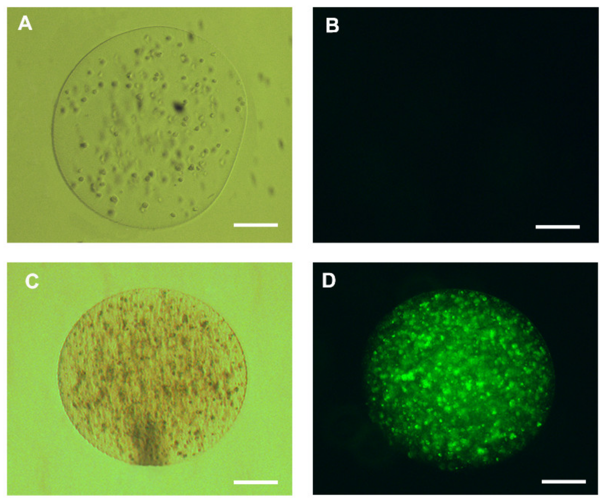 Materials 13 05090 g006 Materials 13 05090 g006
