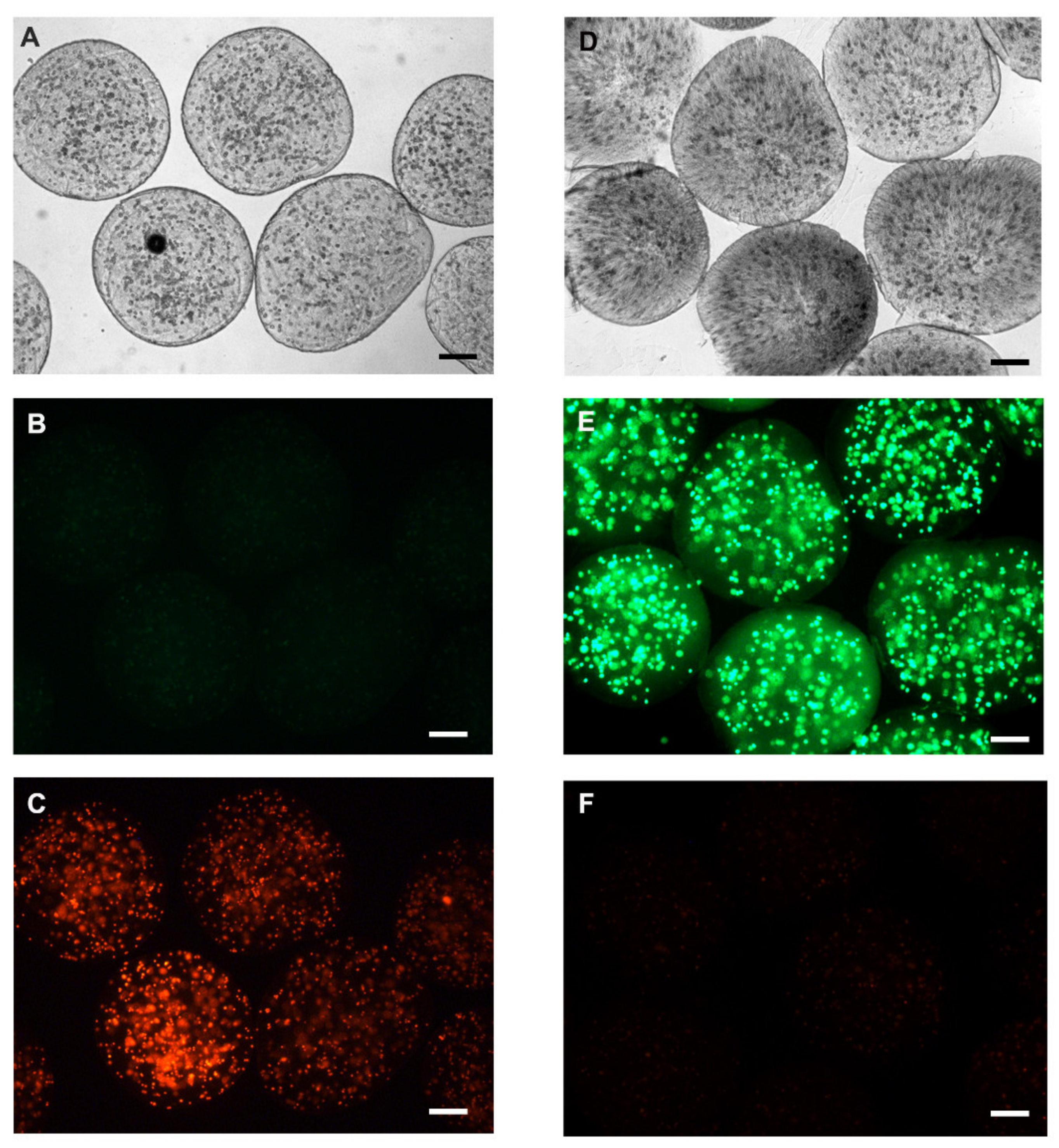 Materials 13 05090 g007 Materials 13 05090 g007