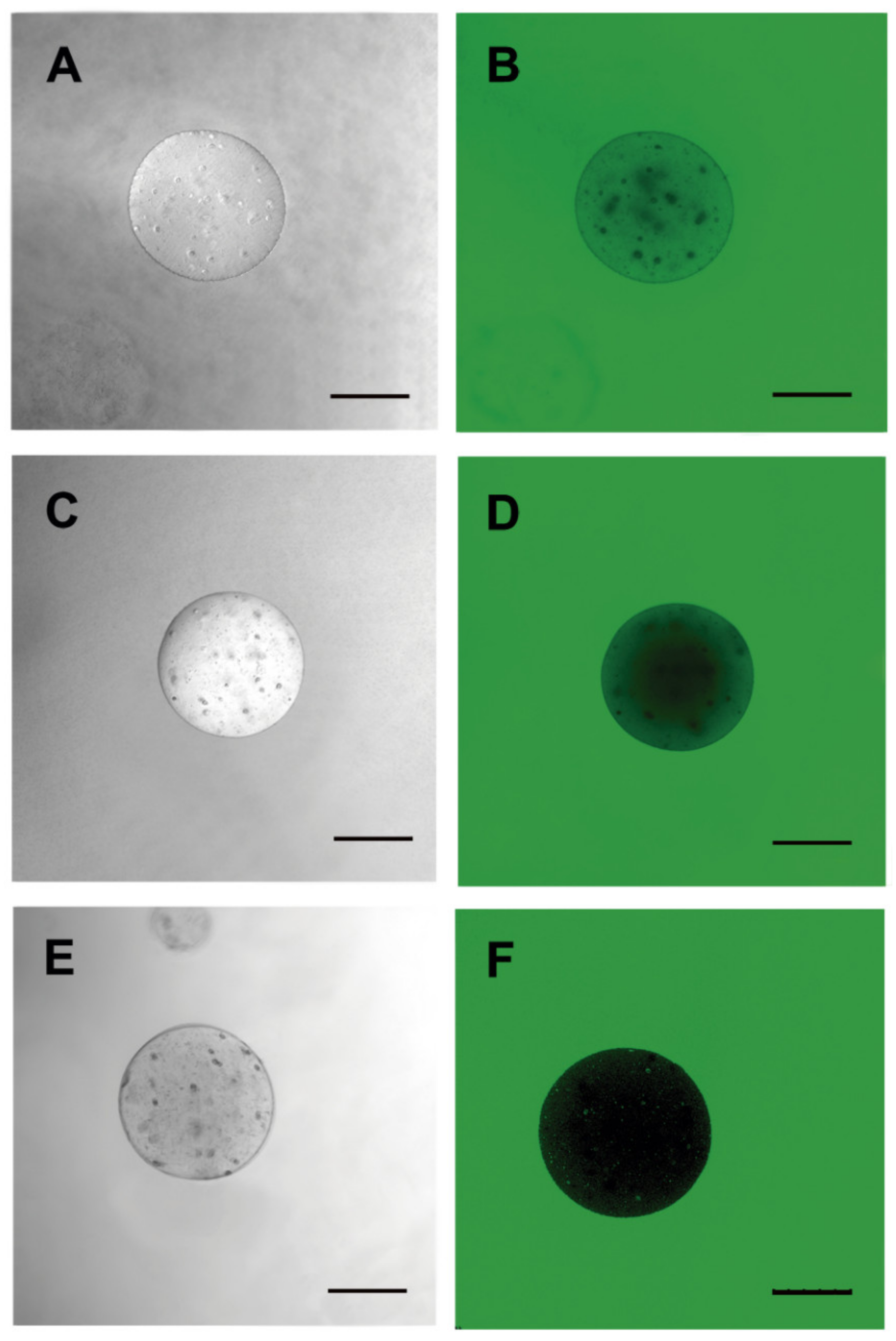 Materials 13 05090 g008 Materials 13 05090 g008