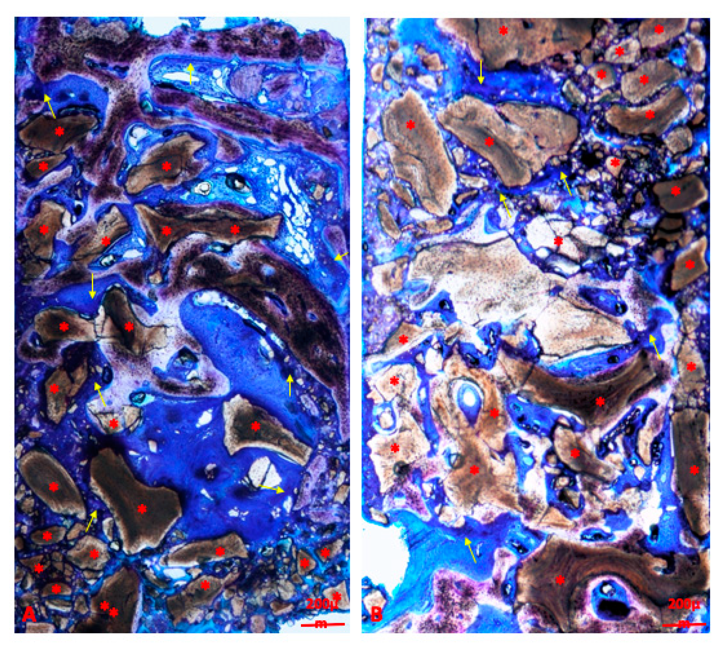 Materials 13 05093 g003