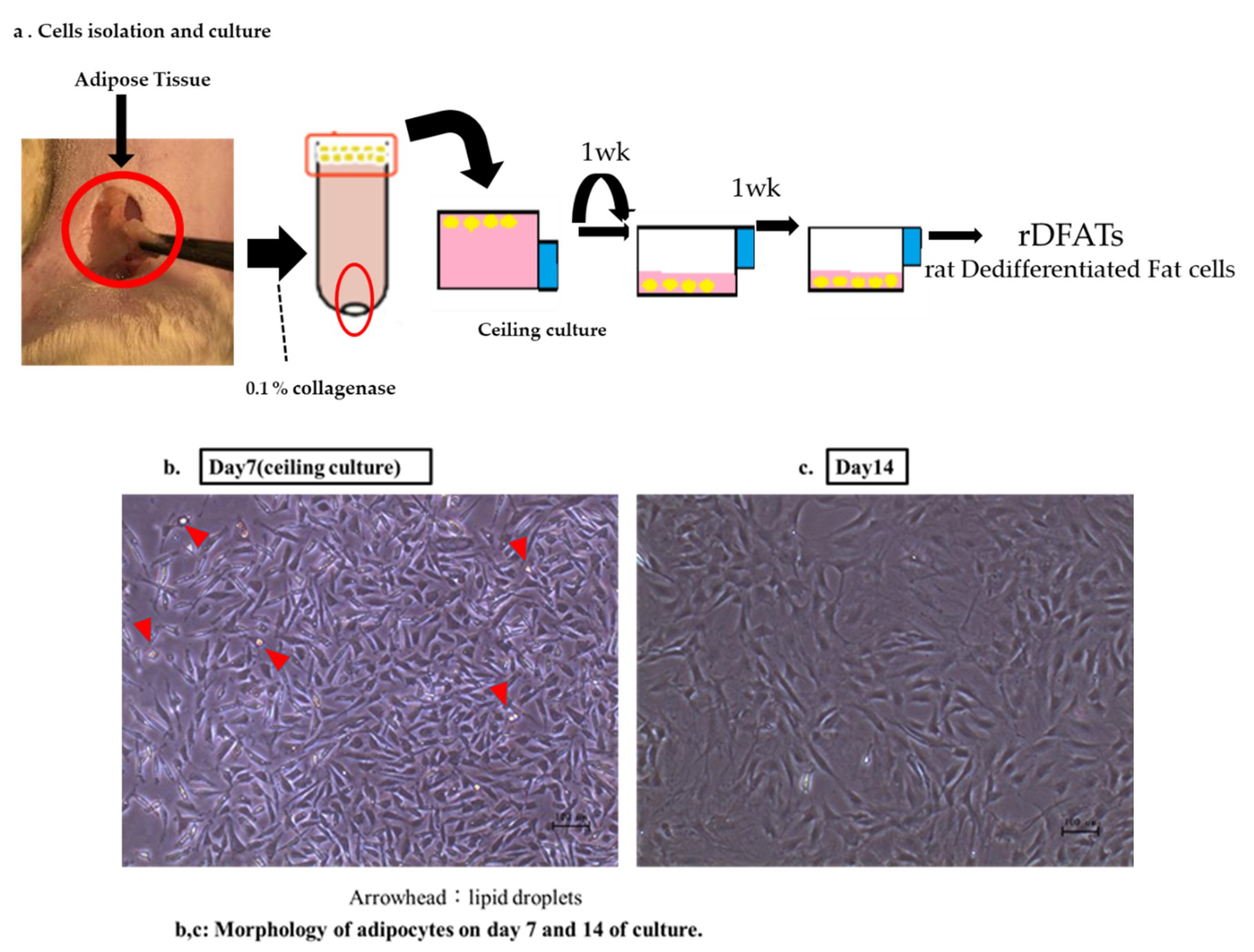 Materials 13 05097 g001