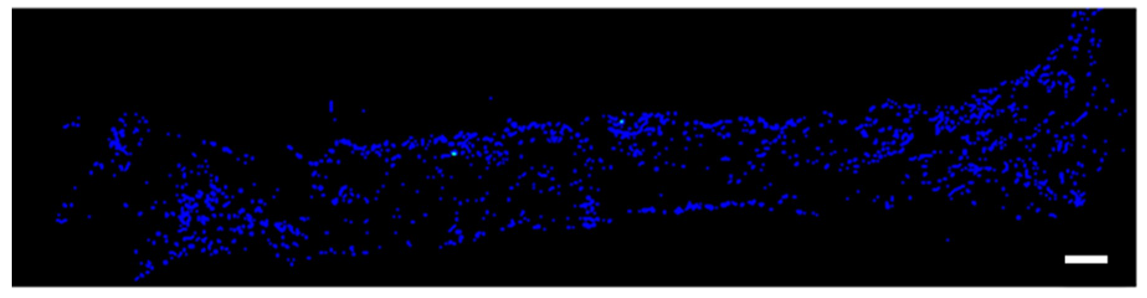 Materials 13 05097 g002