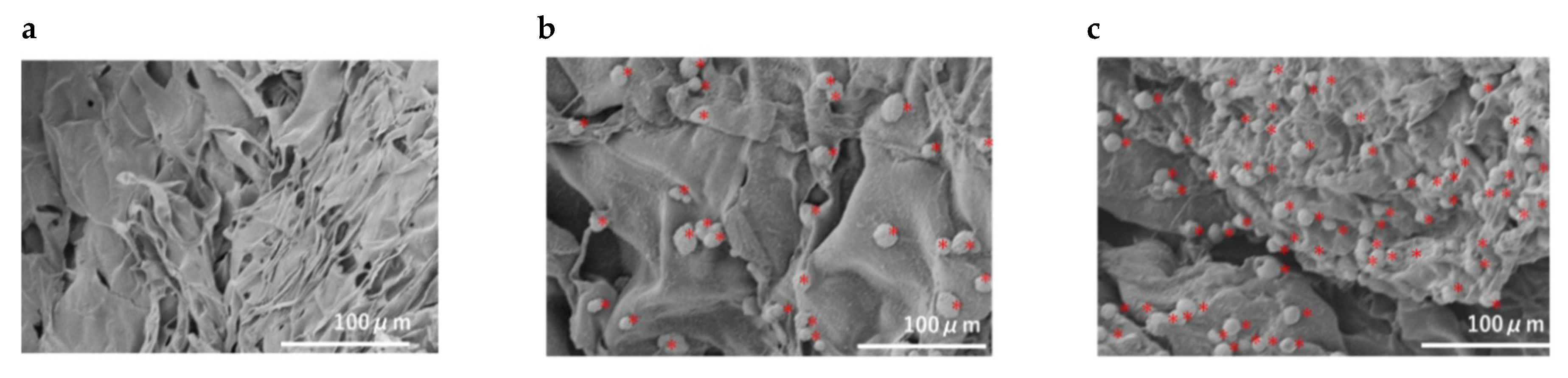 Materials 13 05097 g003