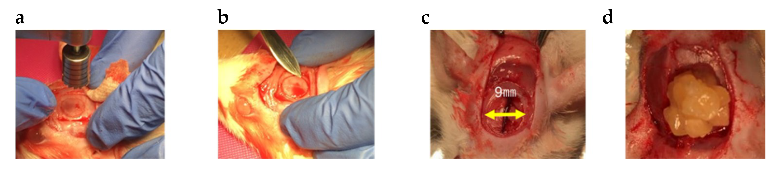 Materials 13 05097 g004