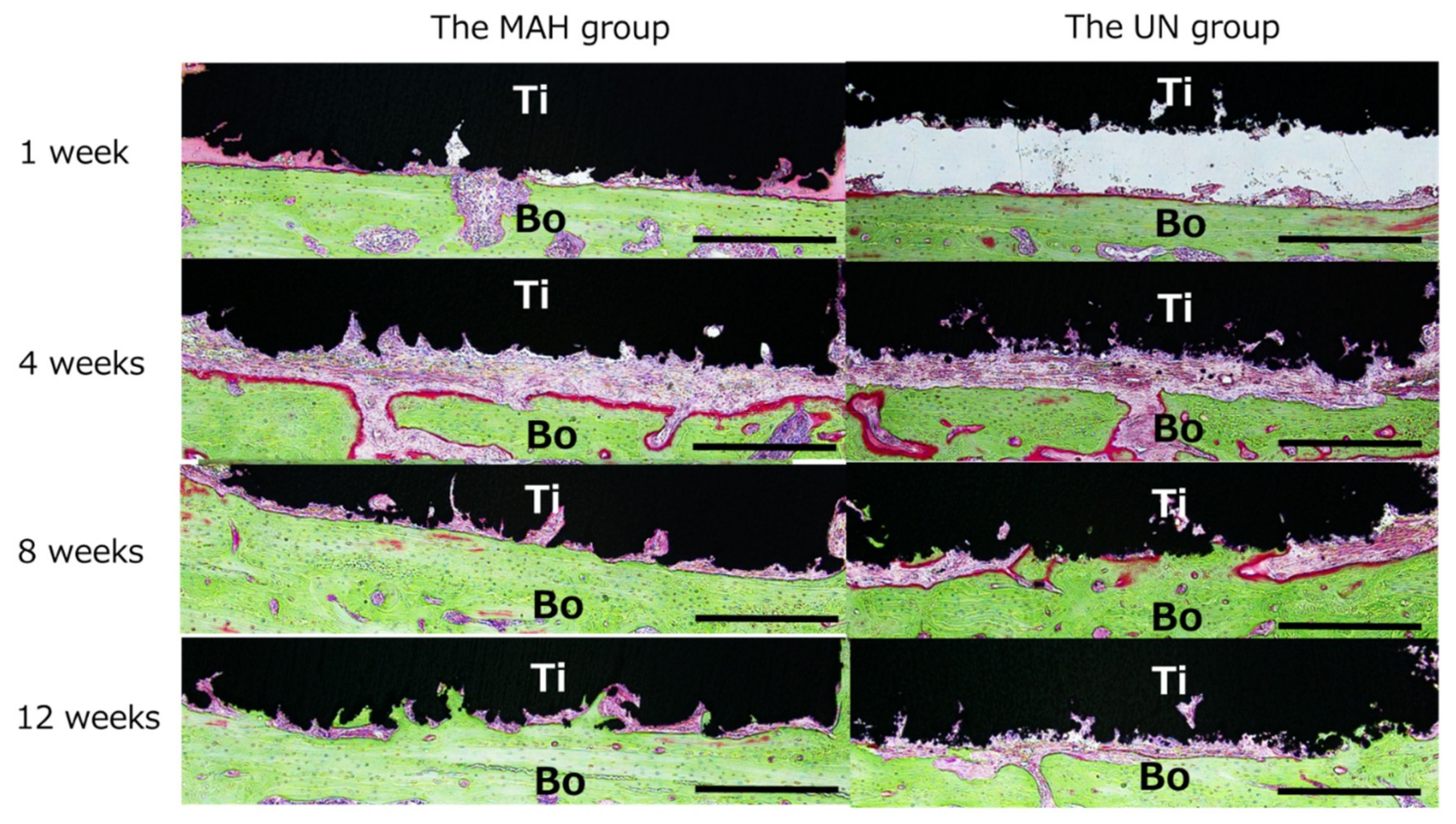 Materials 13 05104 g007