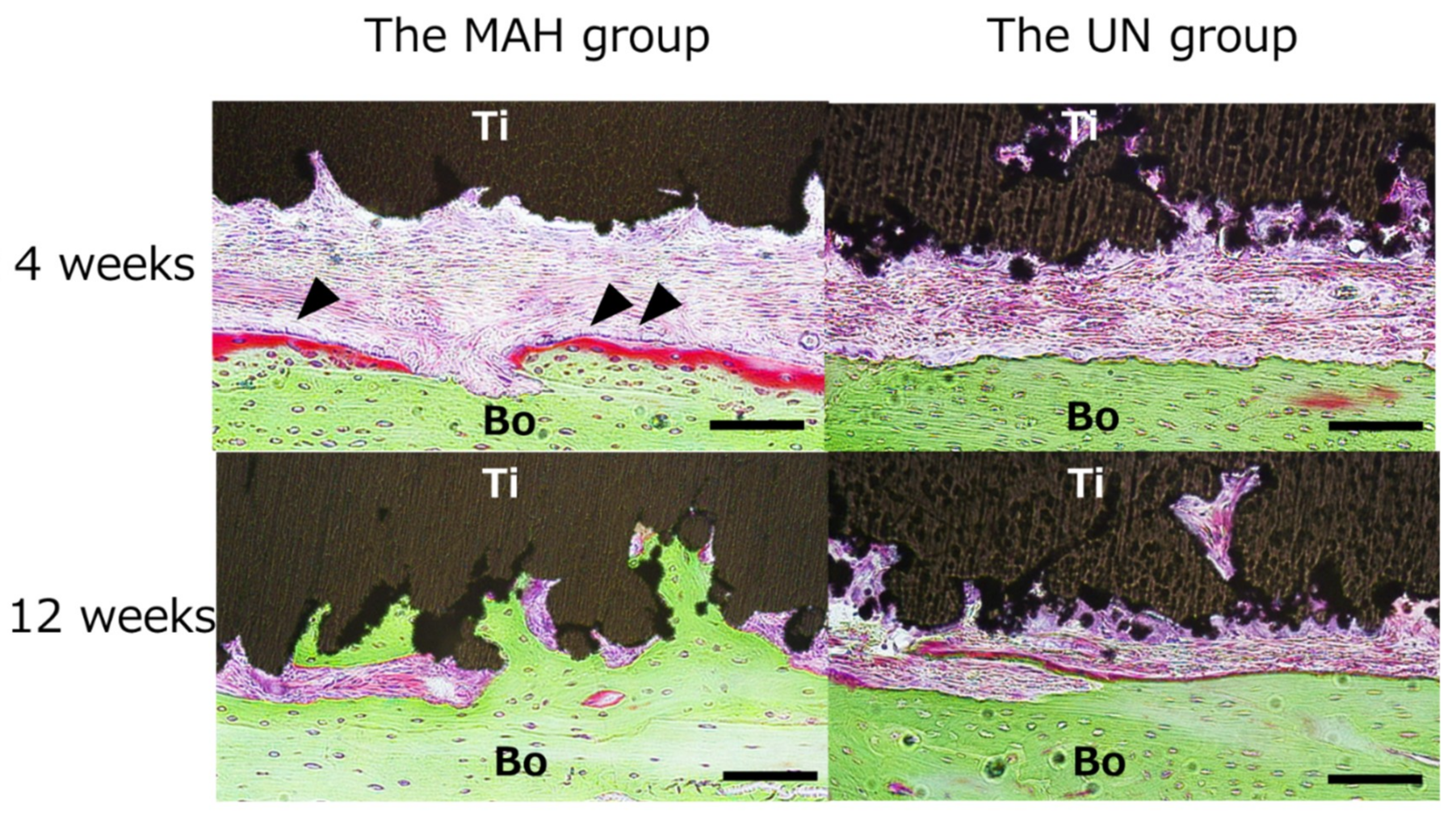 Materials 13 05104 g008