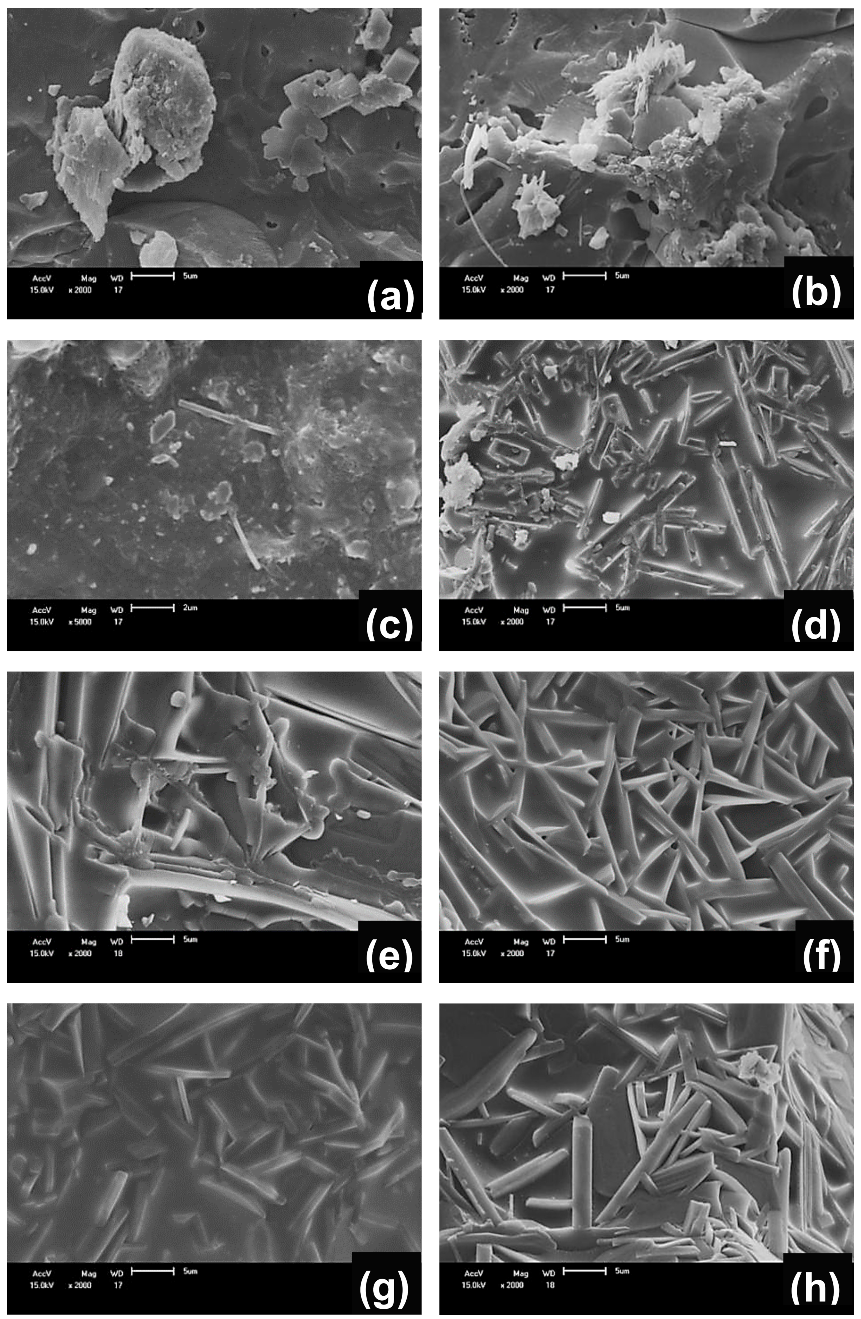Materials 13 05122 g007 Materials 13 05122 g007