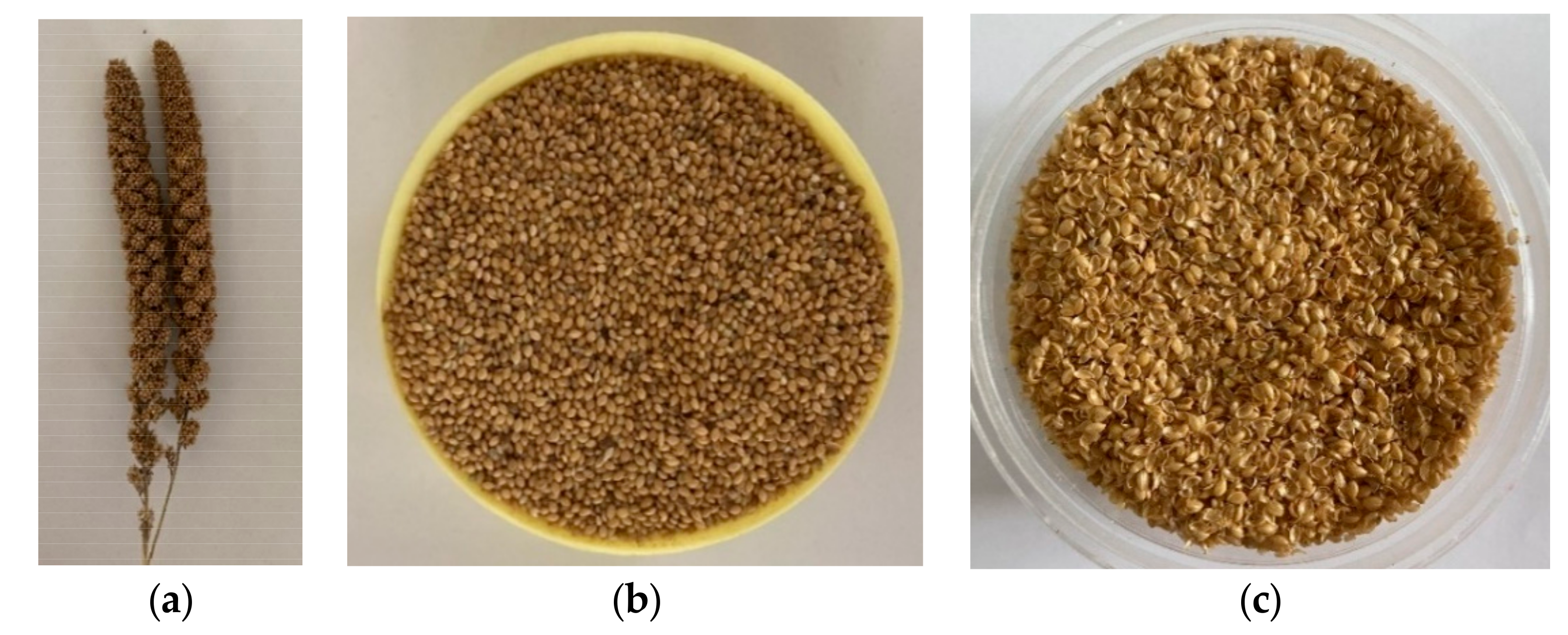 Materials 13 05126 g001