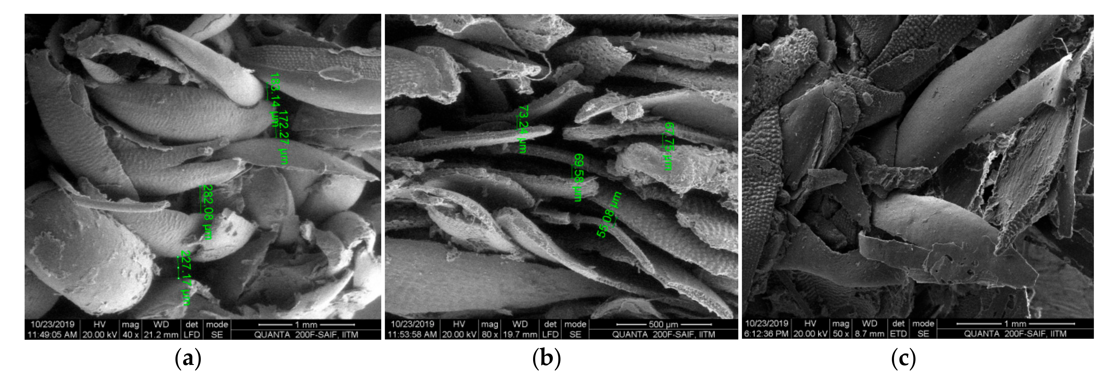 Materials 13 05126 g004
