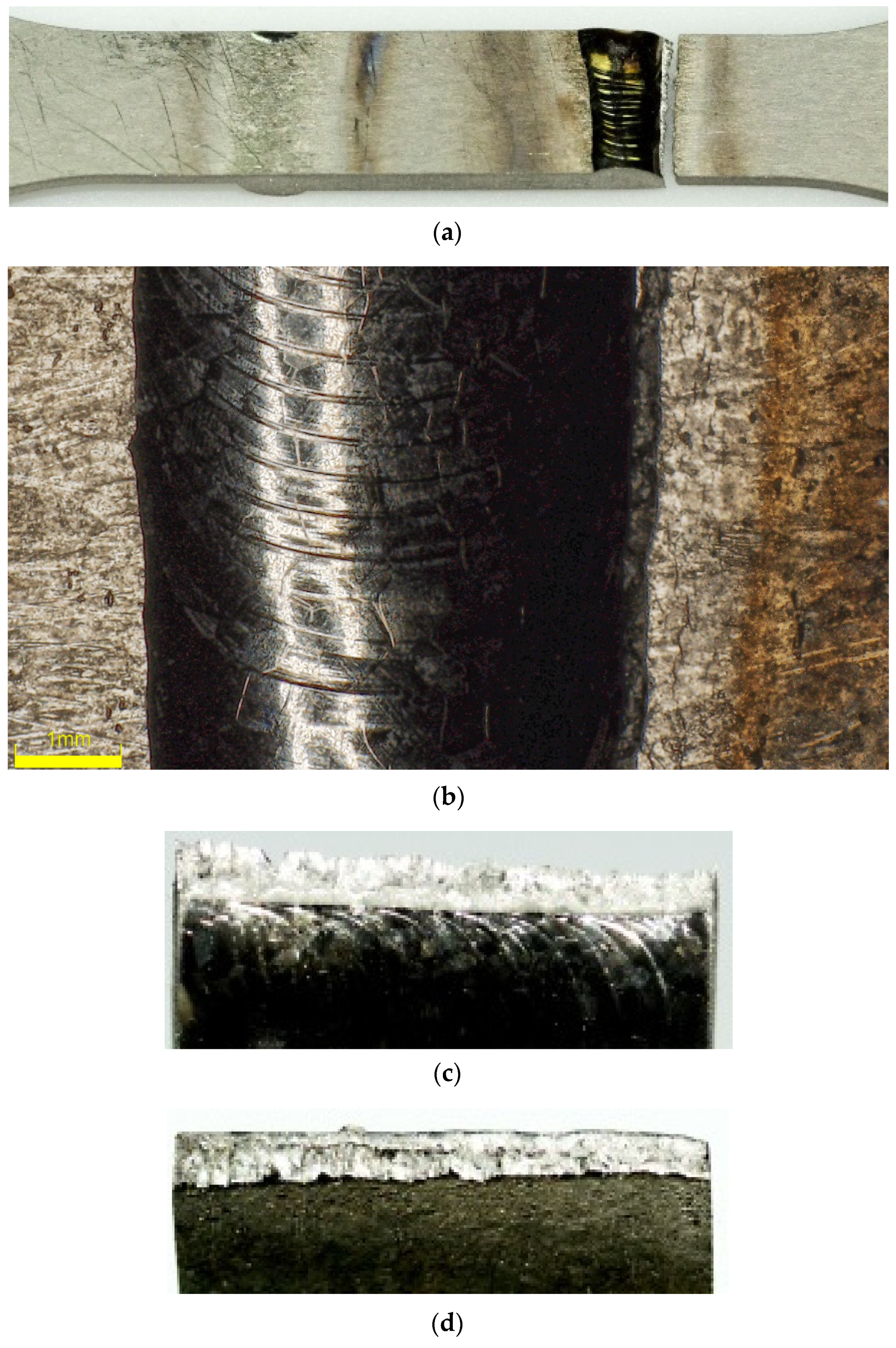 Materials 13 05128 g013 Materials 13 05128 g013