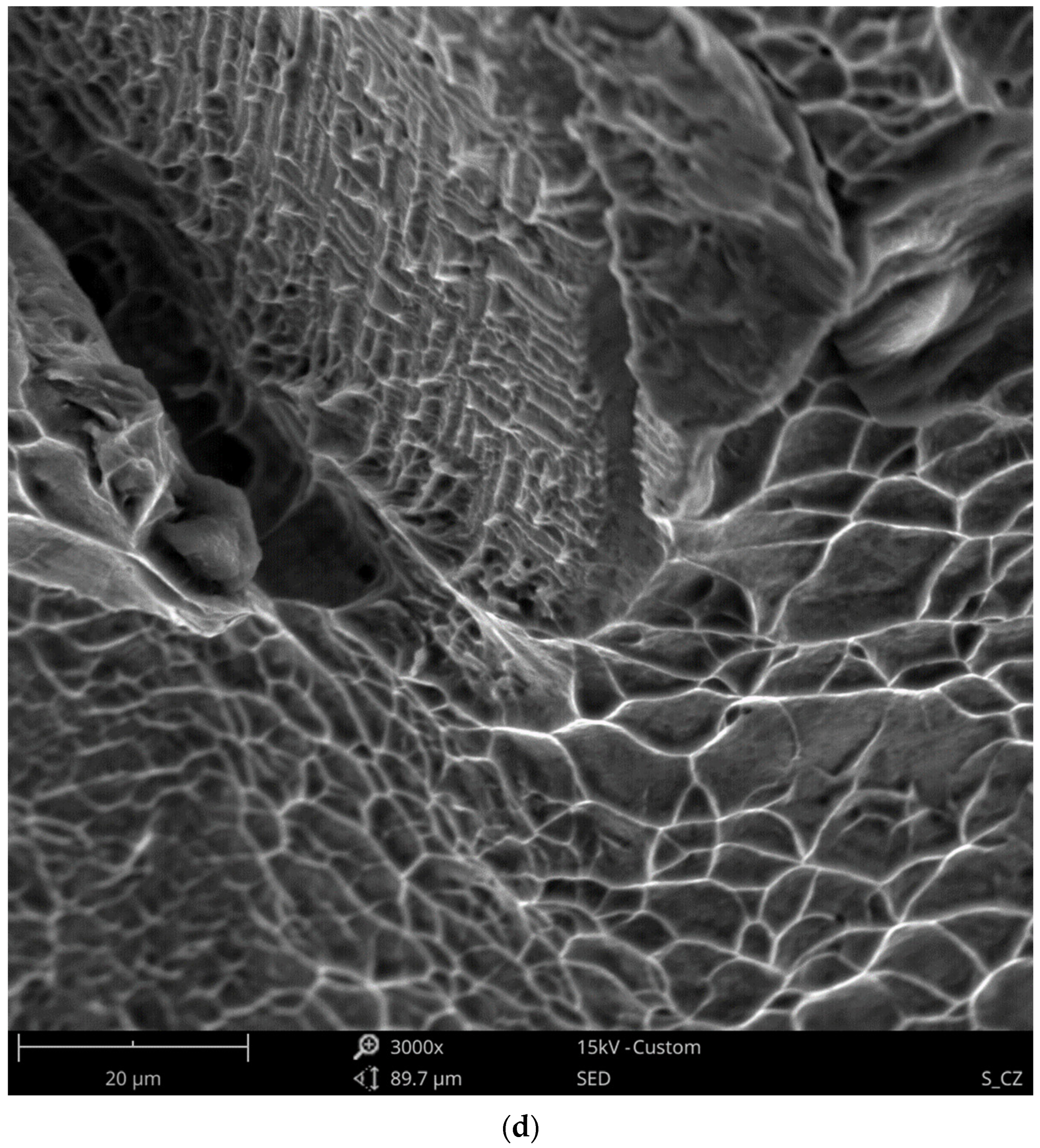 Materials 13 05128 g015d Materials 13 05128 g015d