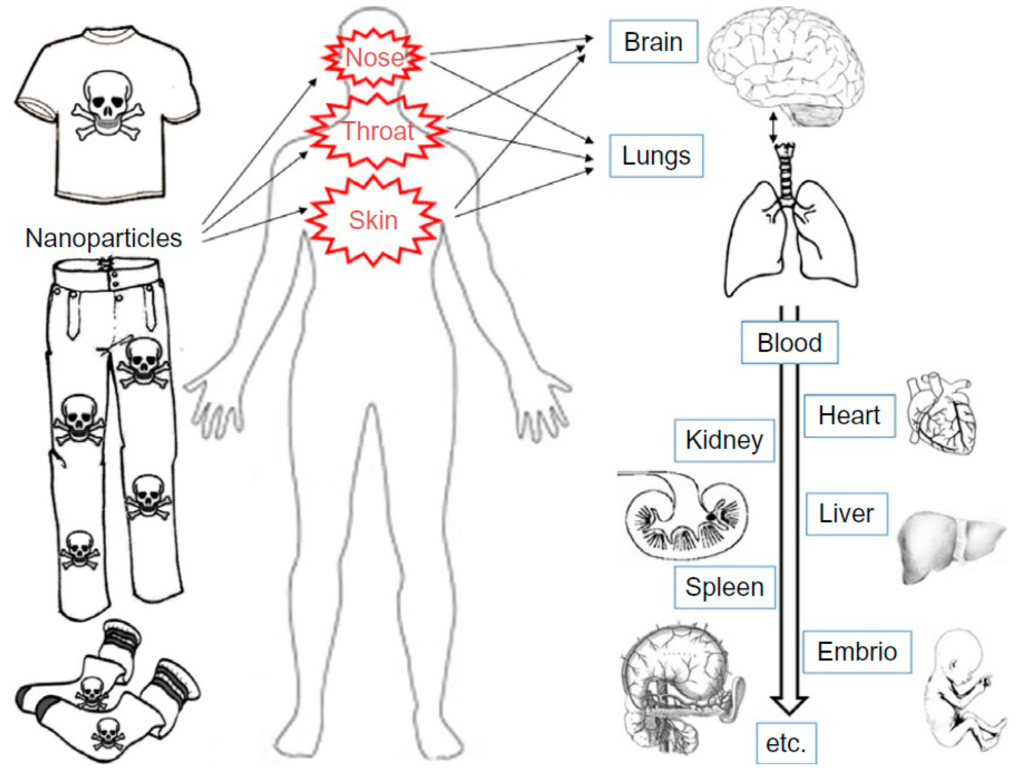 Materials 13 05134 g009 Materials 13 05134 g009