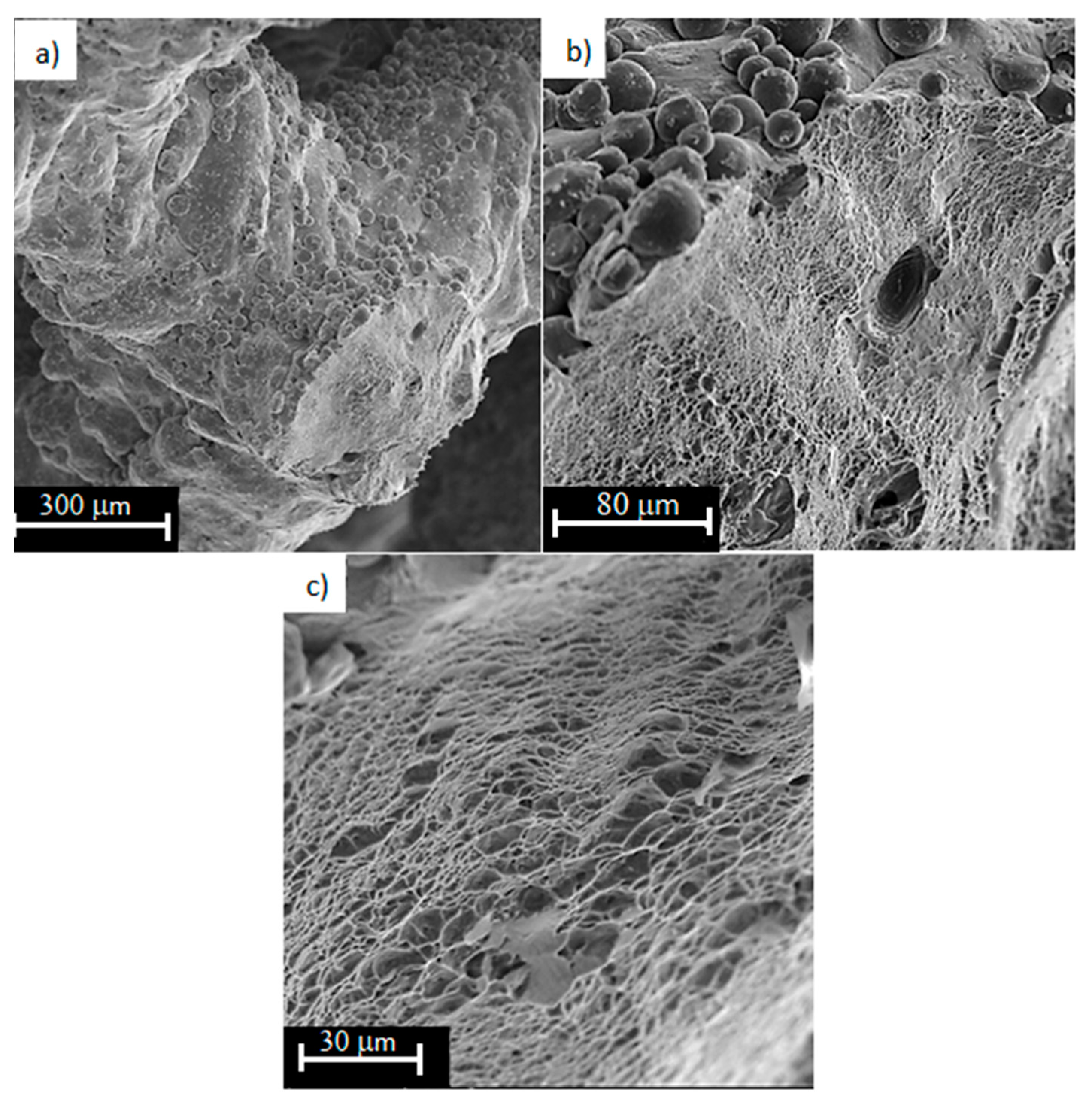 Materials 13 05138 g011
