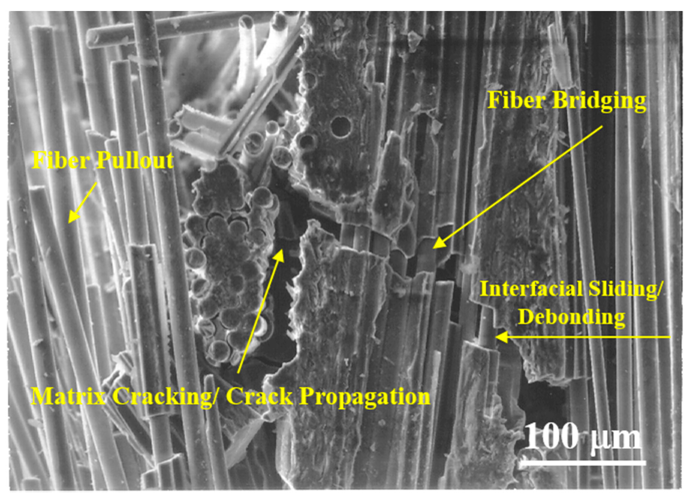 Materials 13 05141 g003