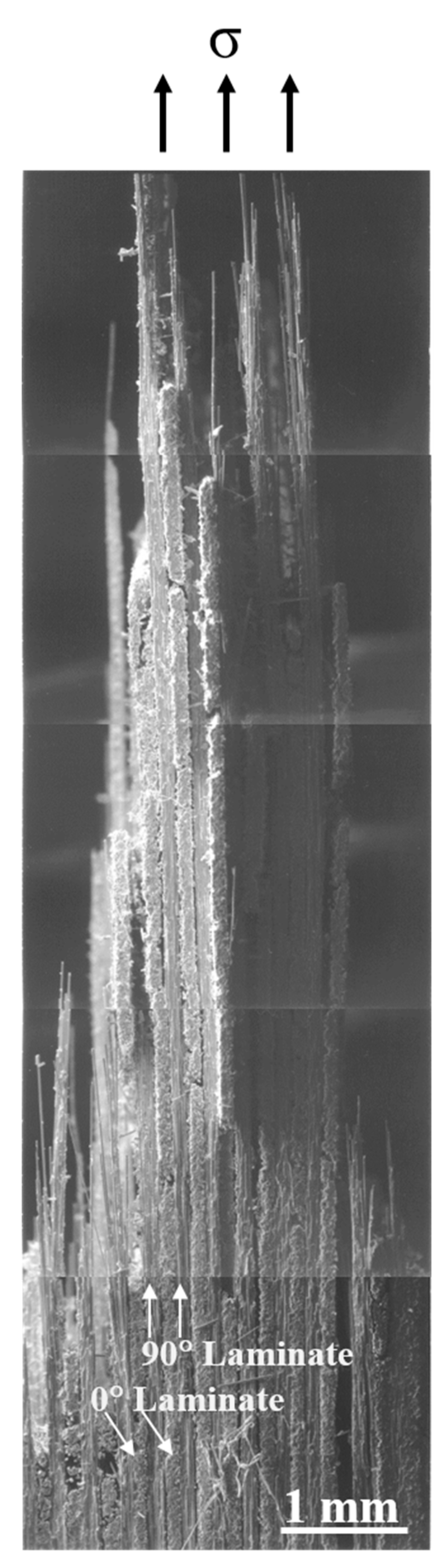 Materials 13 05141 g013