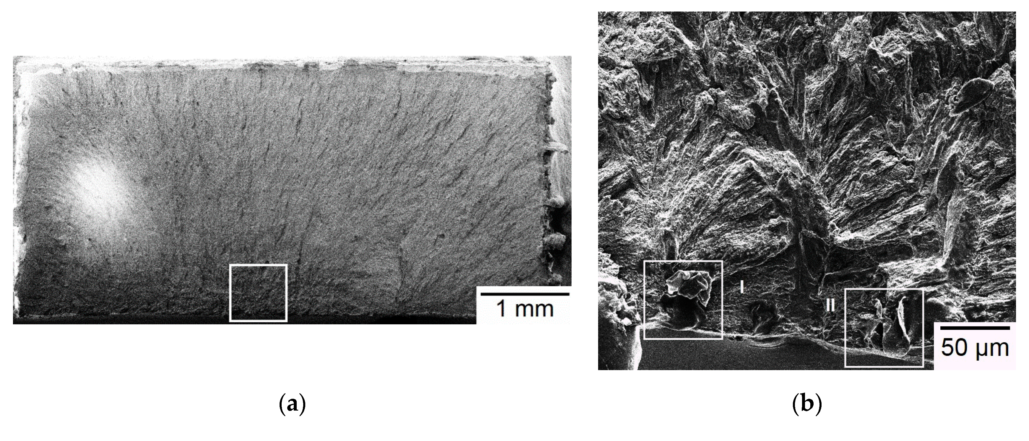 Materials 13 05142 g006a Materials 13 05142 g006a