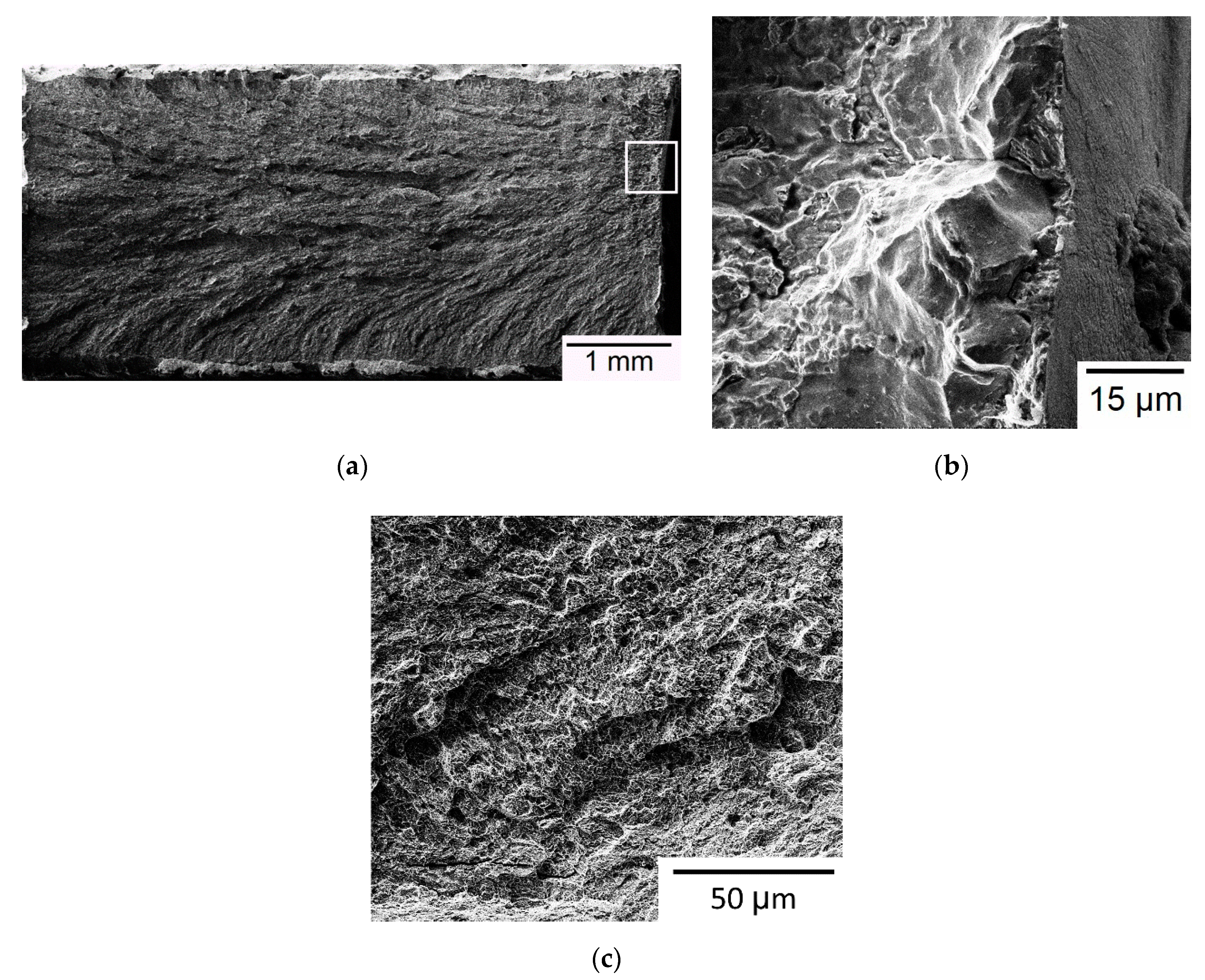 Materials 13 05142 g007 Materials 13 05142 g007