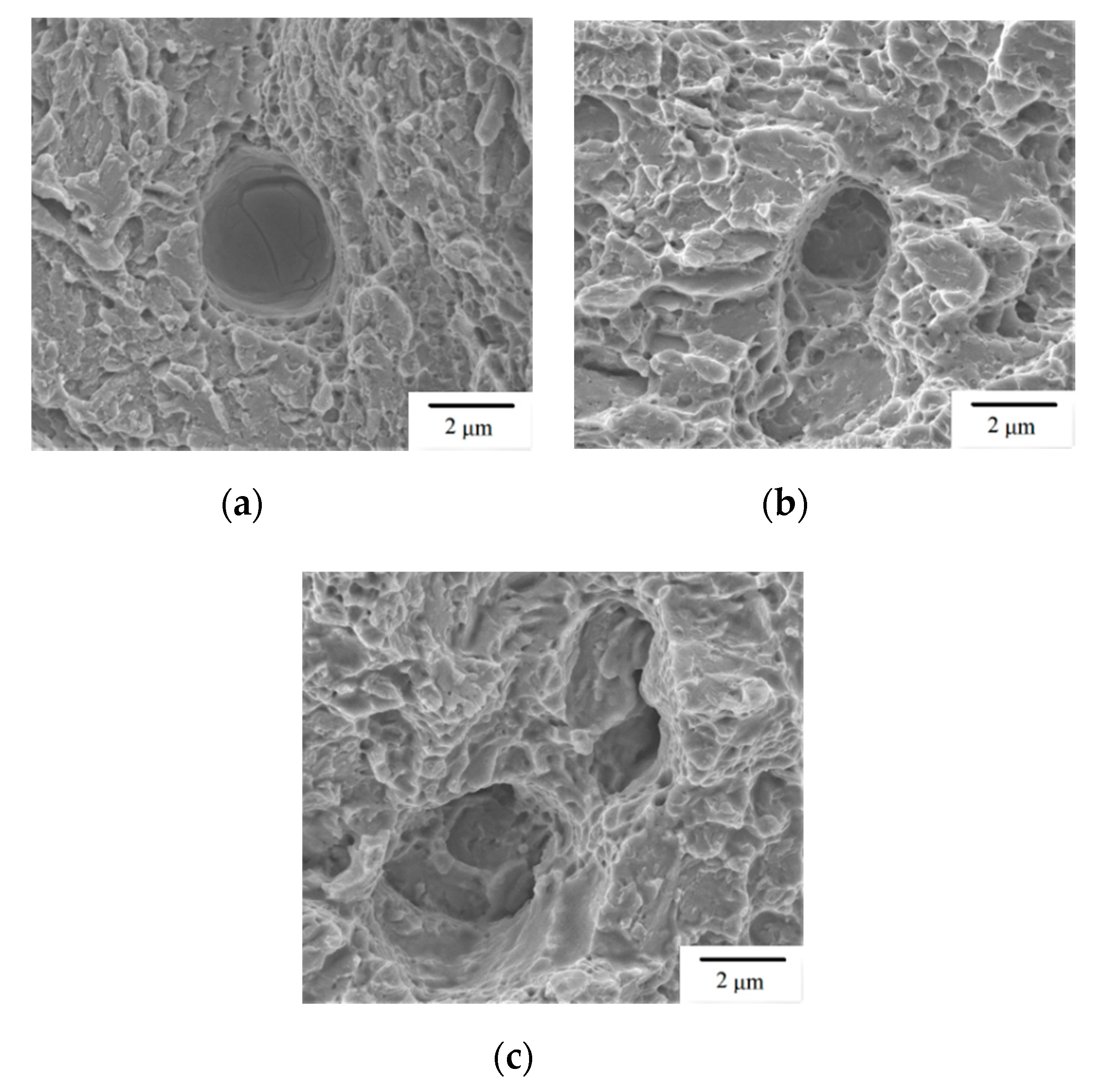 Materials 13 05142 g009 Materials 13 05142 g009