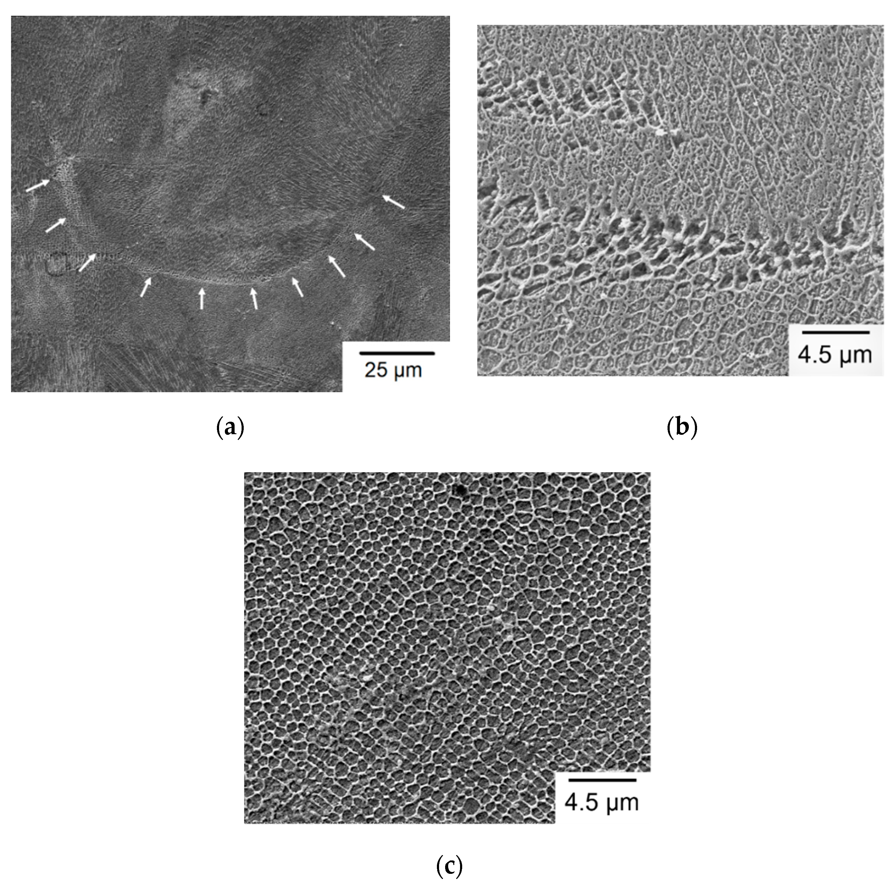 Materials 13 05142 g012 Materials 13 05142 g012