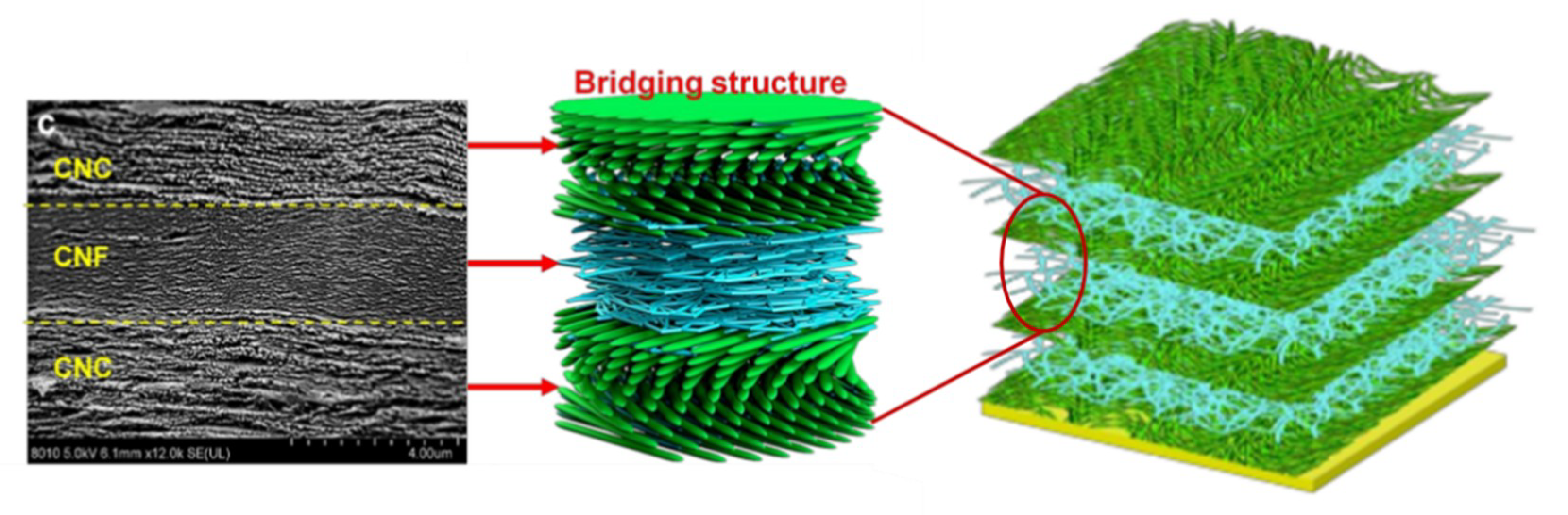 Materials 13 05145 g010 Materials 13 05145 g010