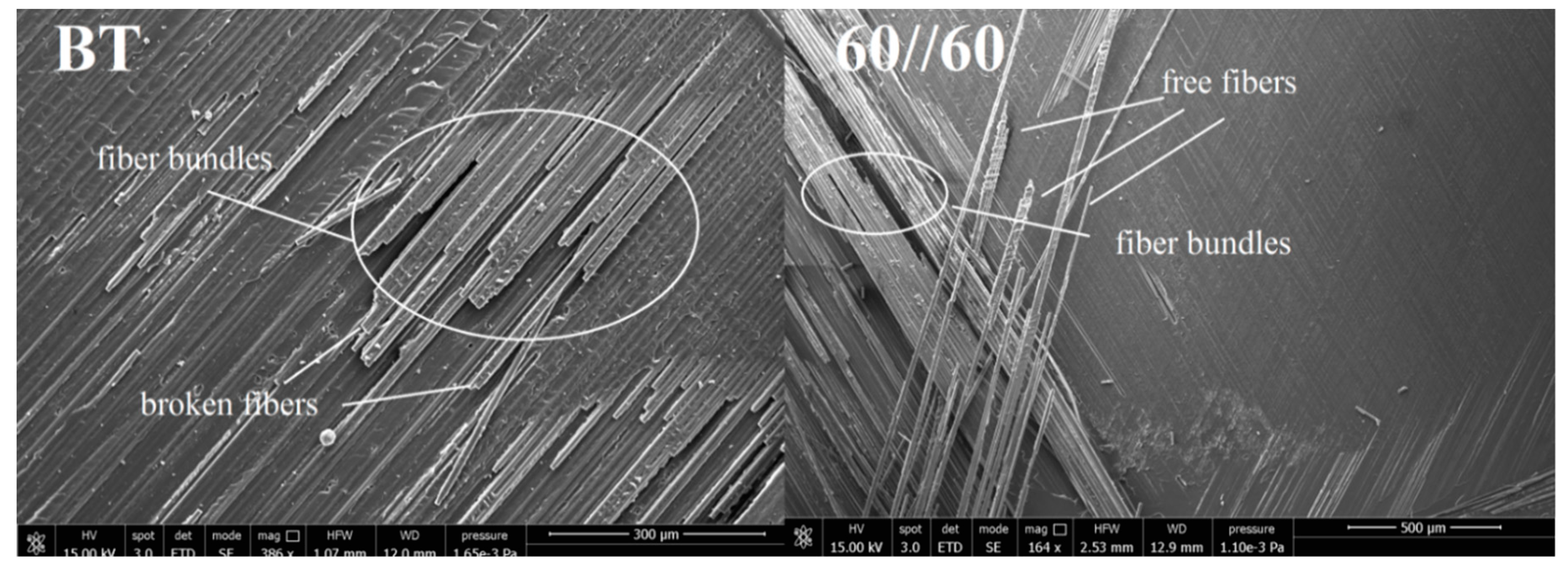 Materials 13 05146 g008