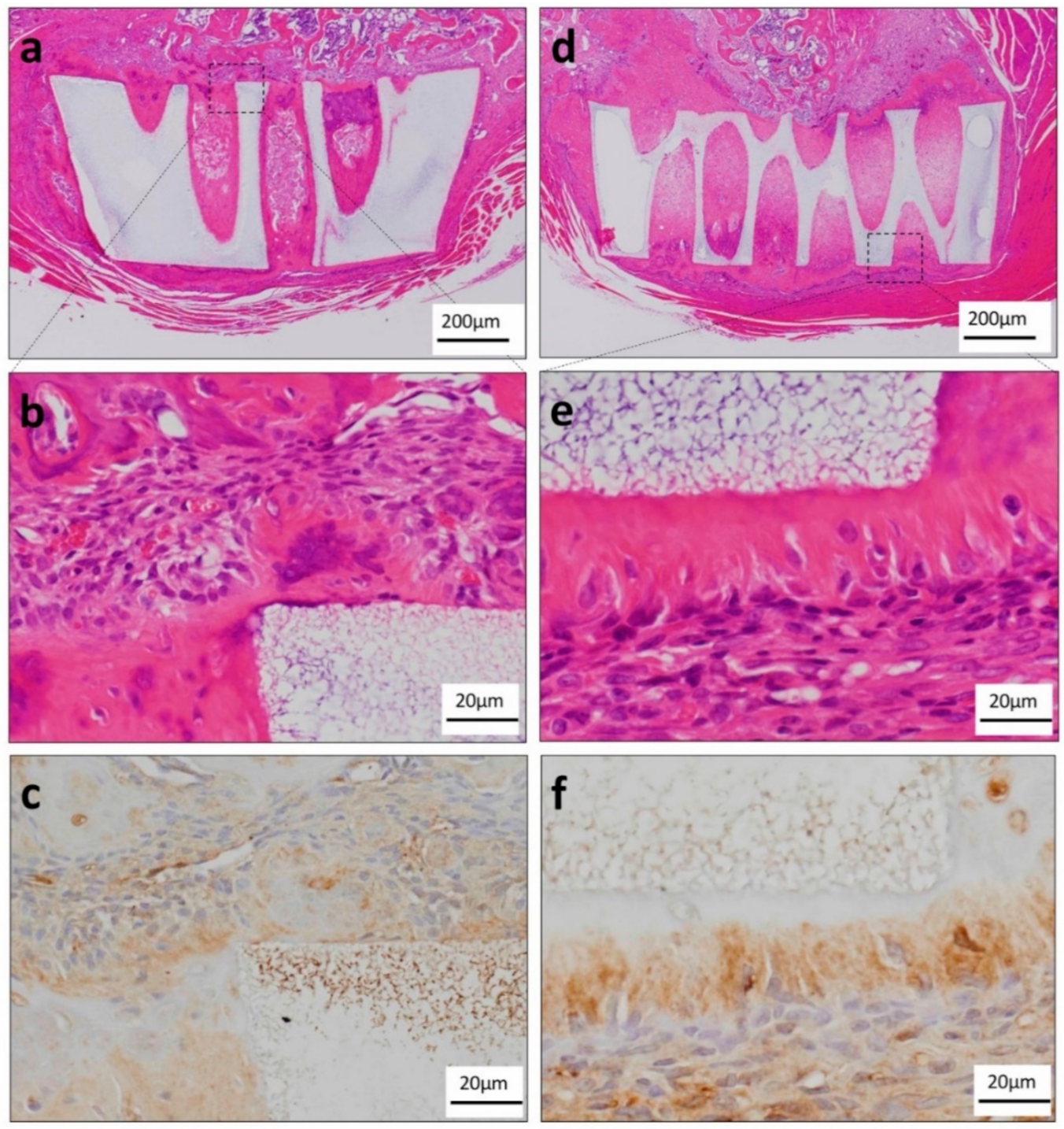 Materials 13 05155 g005 Materials 13 05155 g005