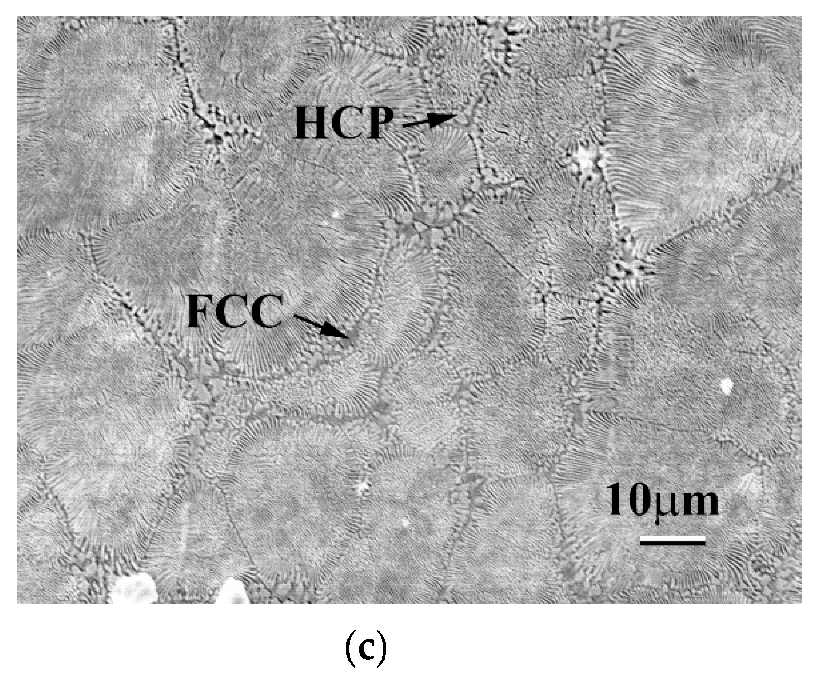 Materials 13 05157 g008b Materials 13 05157 g008b