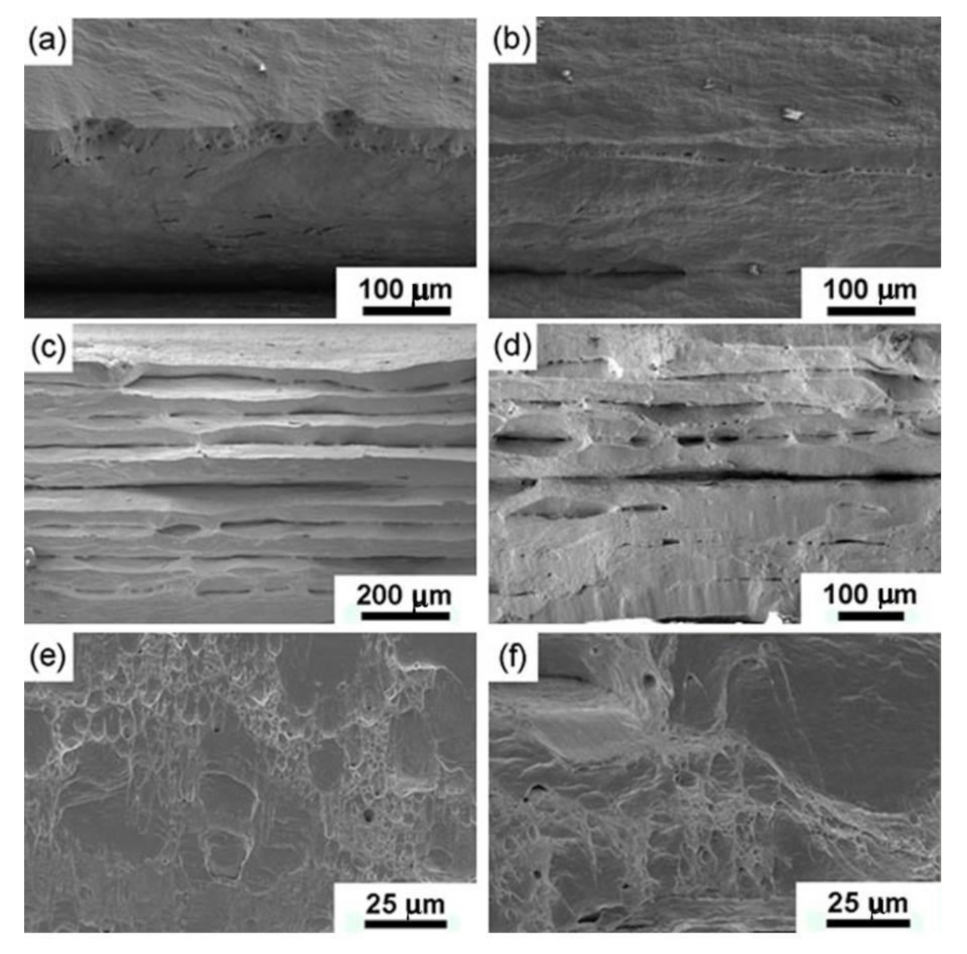 Materials 13 05171 g009