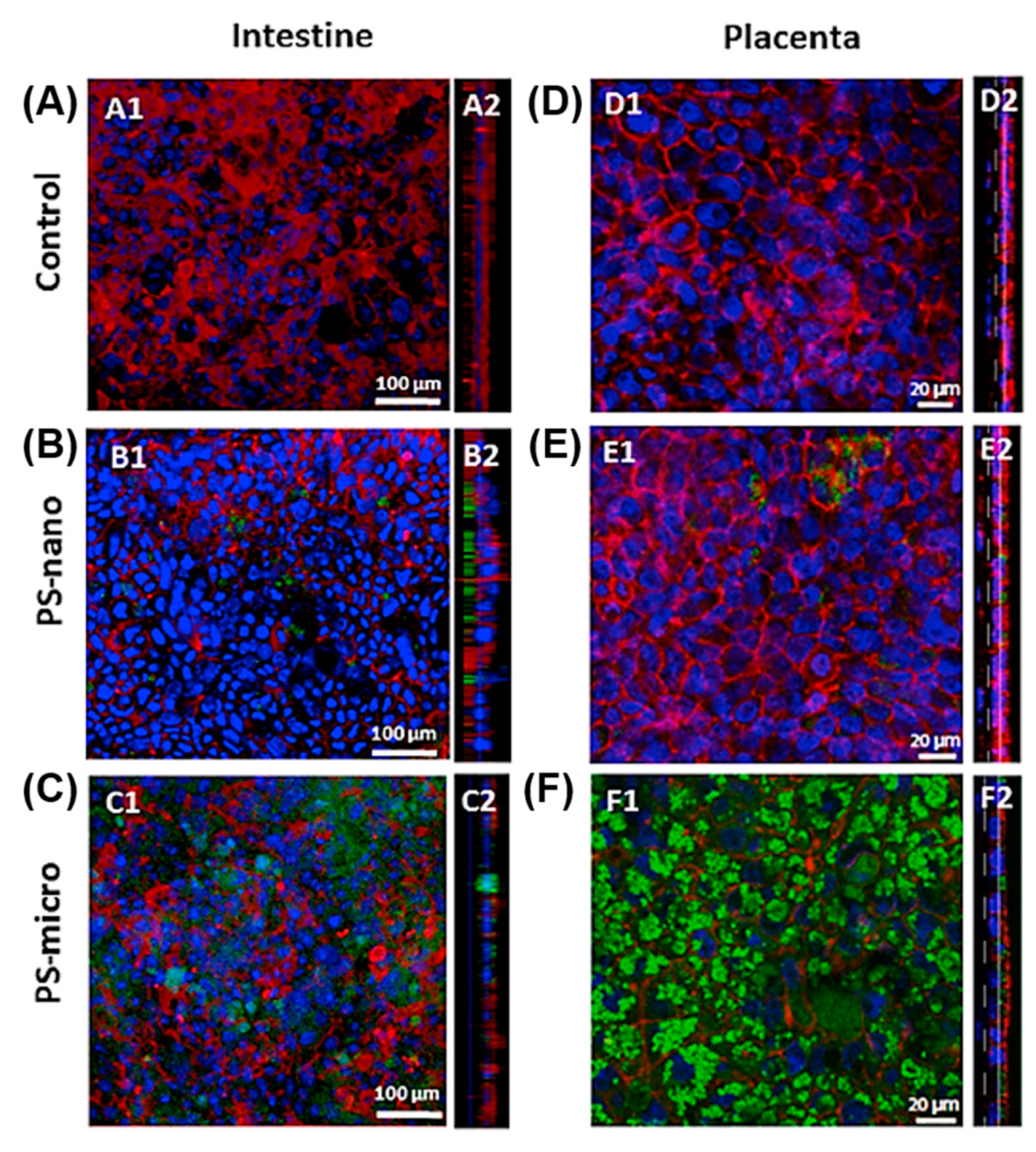 Materials 13 05196 g010 Materials 13 05196 g010