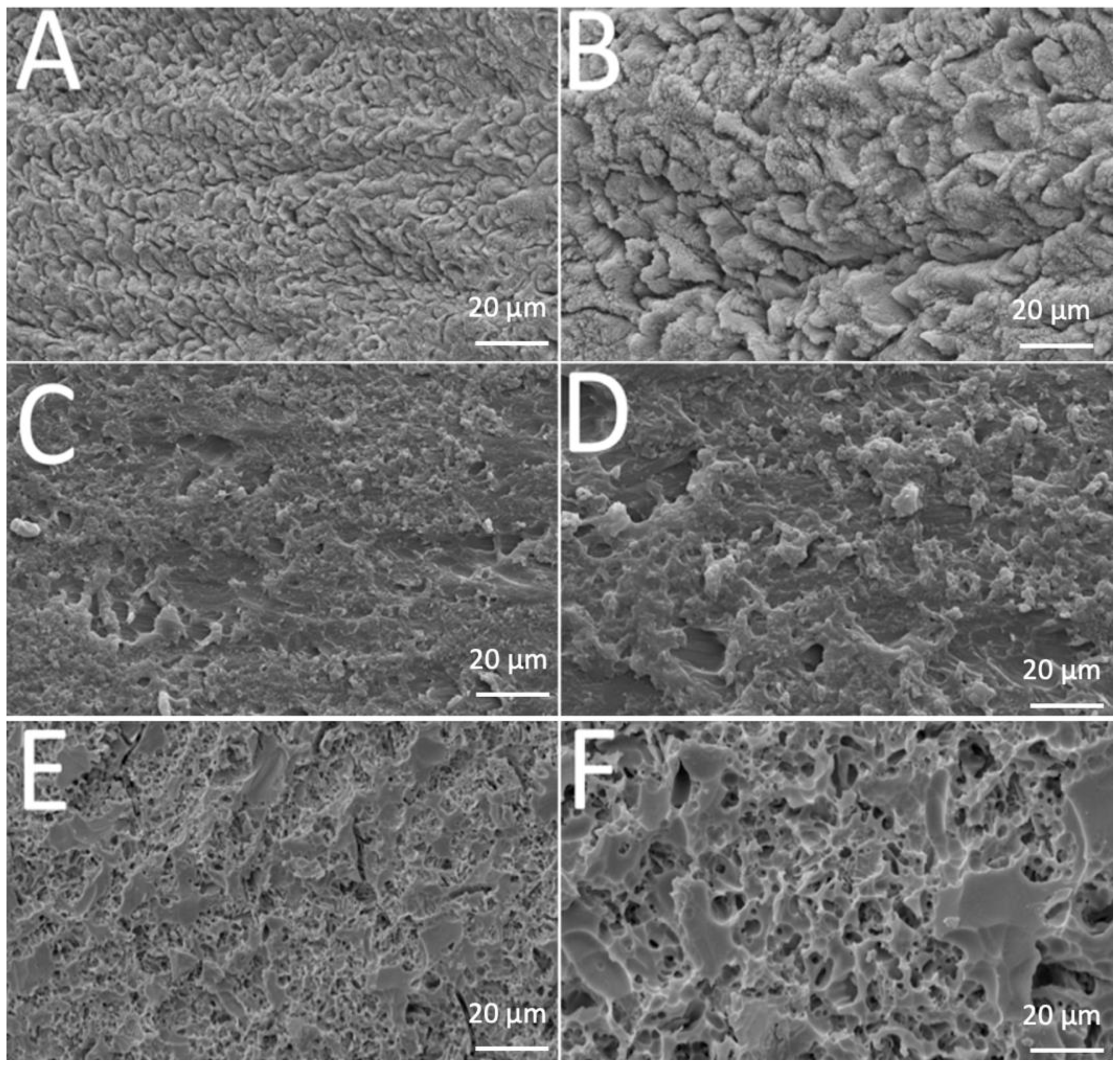 Materials 13 05197 g001 Materials 13 05197 g001