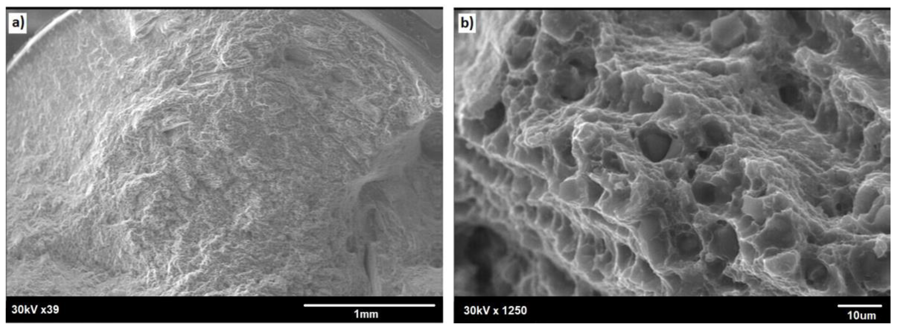 Materials 13 05224 g015 550