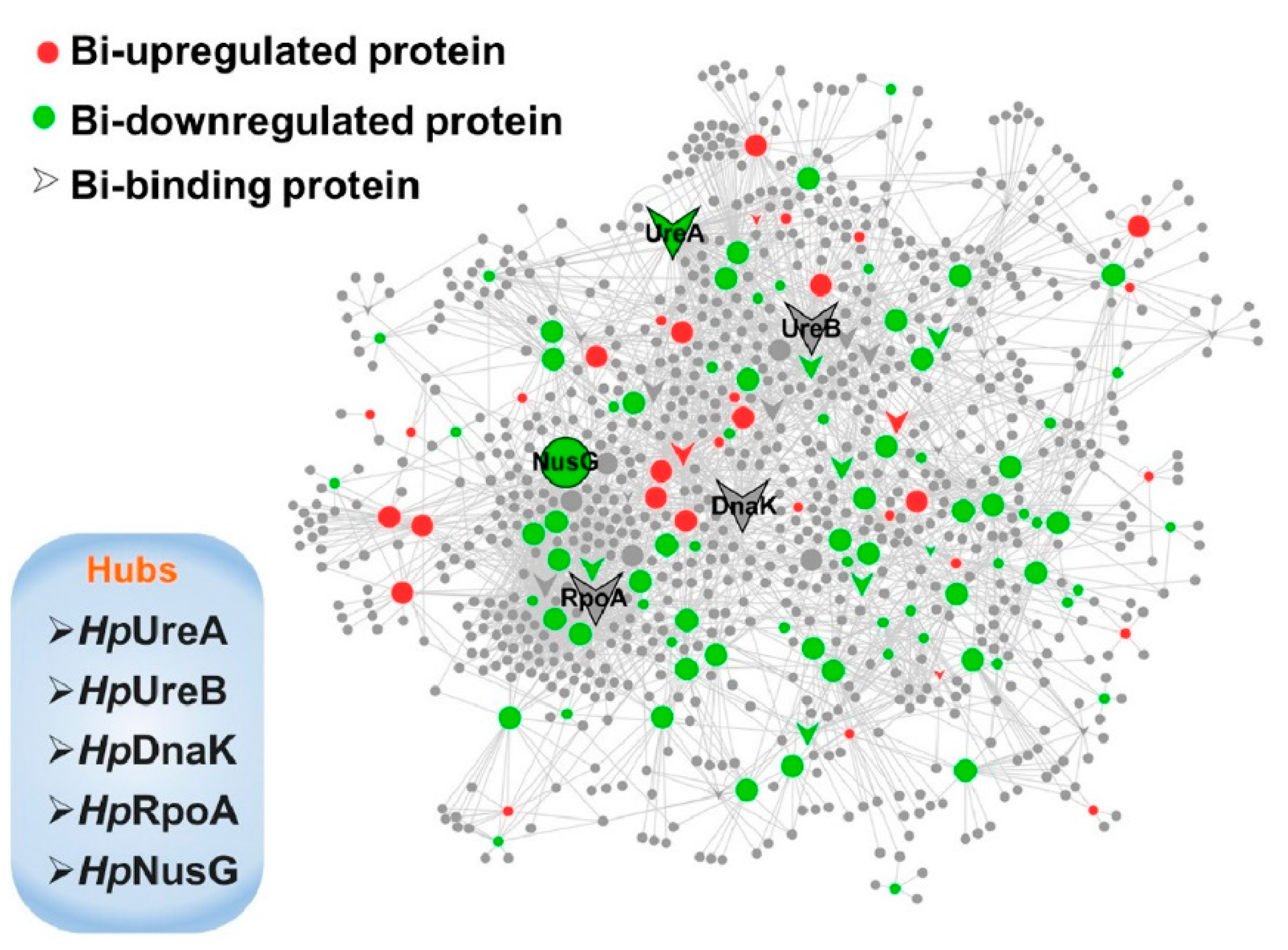 Materials 13 05234 g005 Materials 13 05234 g005