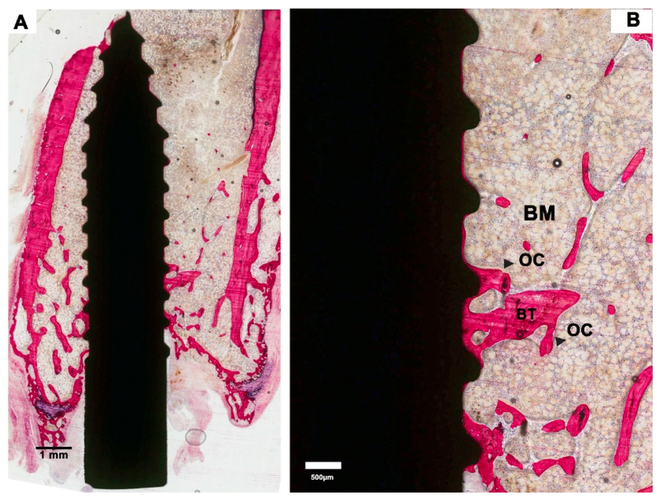 Materials 13 05248 g002 Materials 13 05248 g002