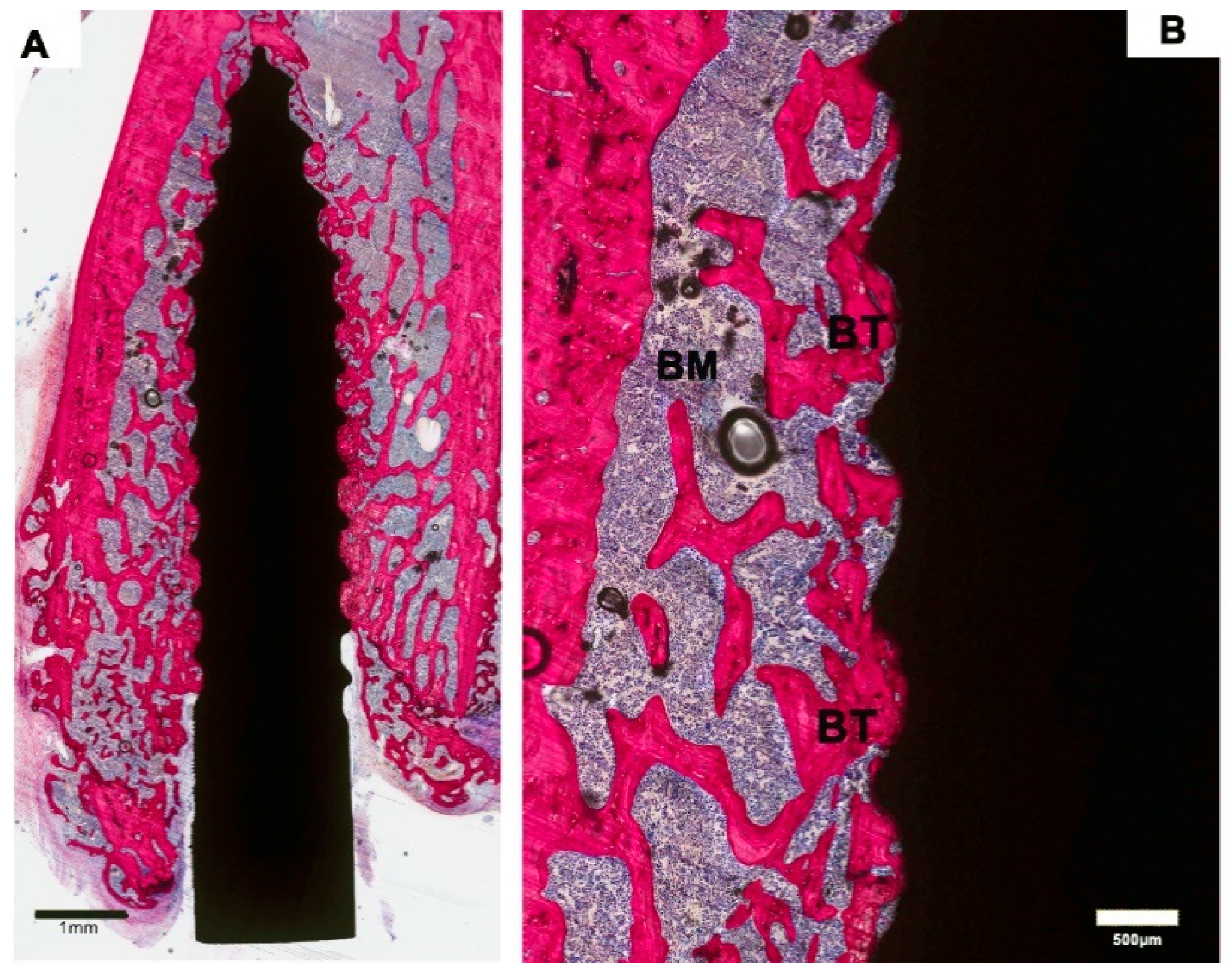 Materials 13 05248 g003 Materials 13 05248 g003