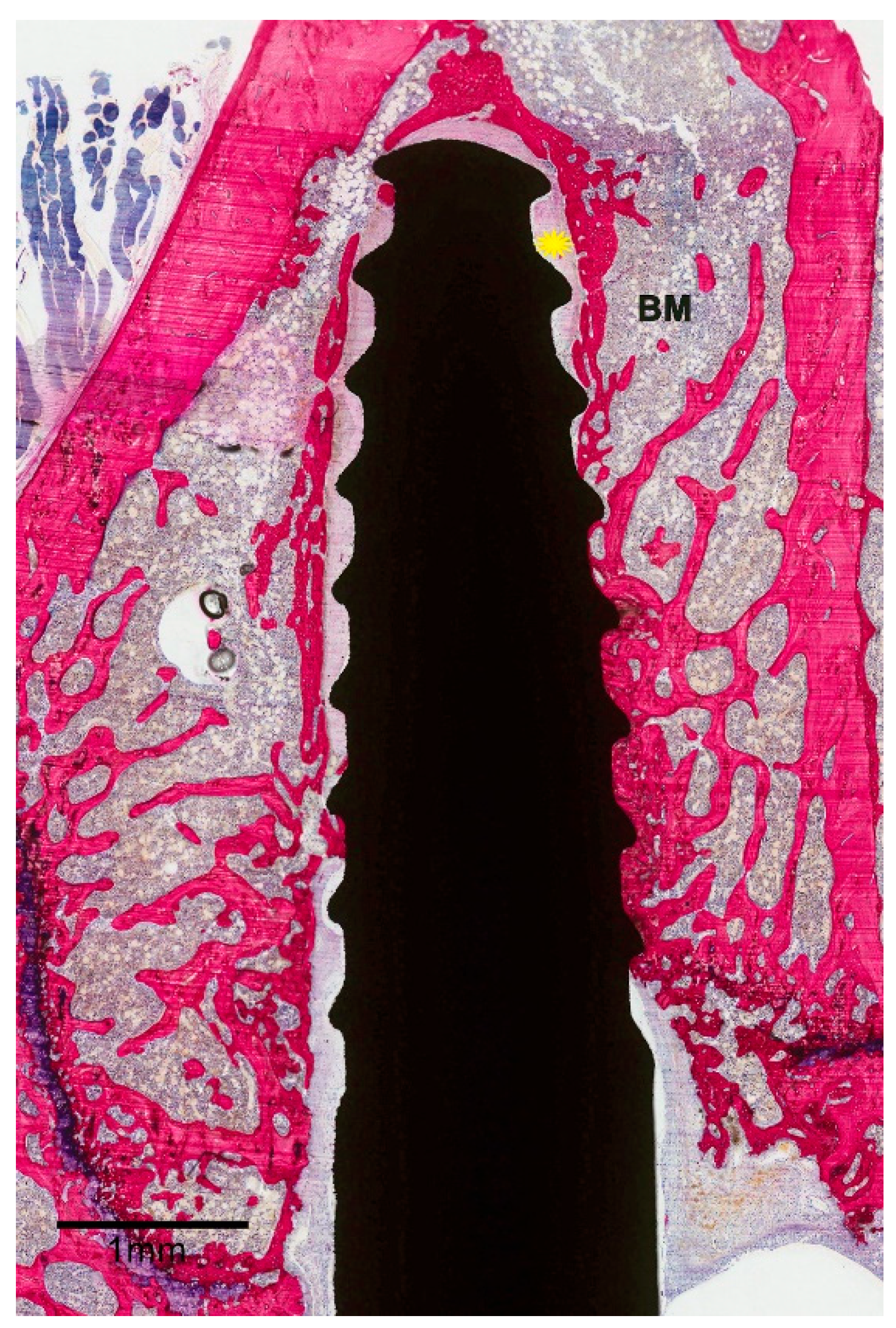 Materials 13 05248 g004 Materials 13 05248 g004