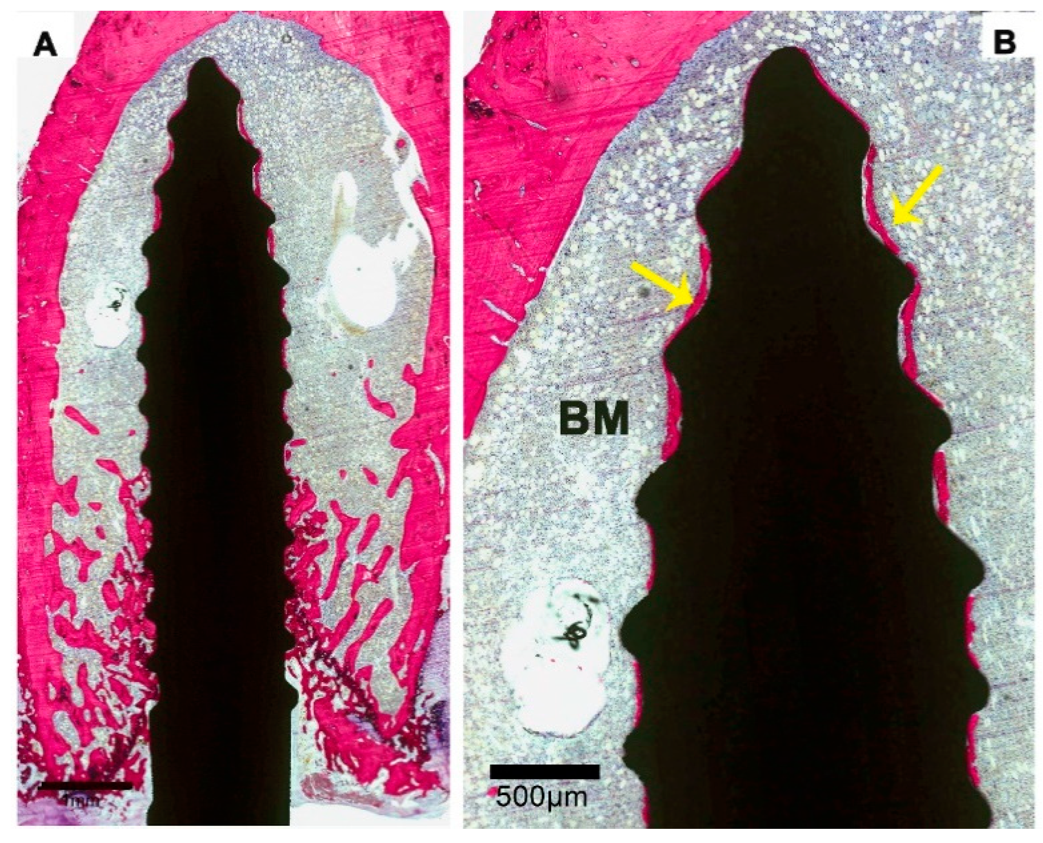 Materials 13 05248 g006 Materials 13 05248 g006