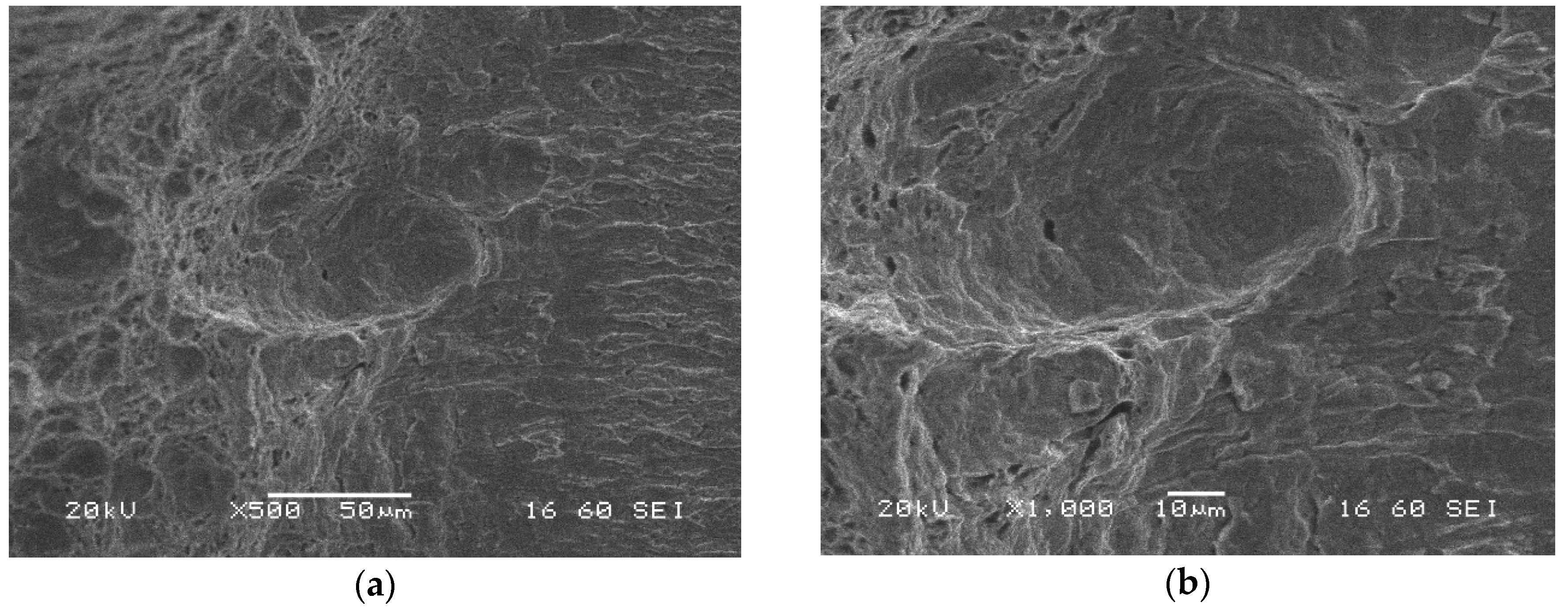 Materials 13 05249 g019