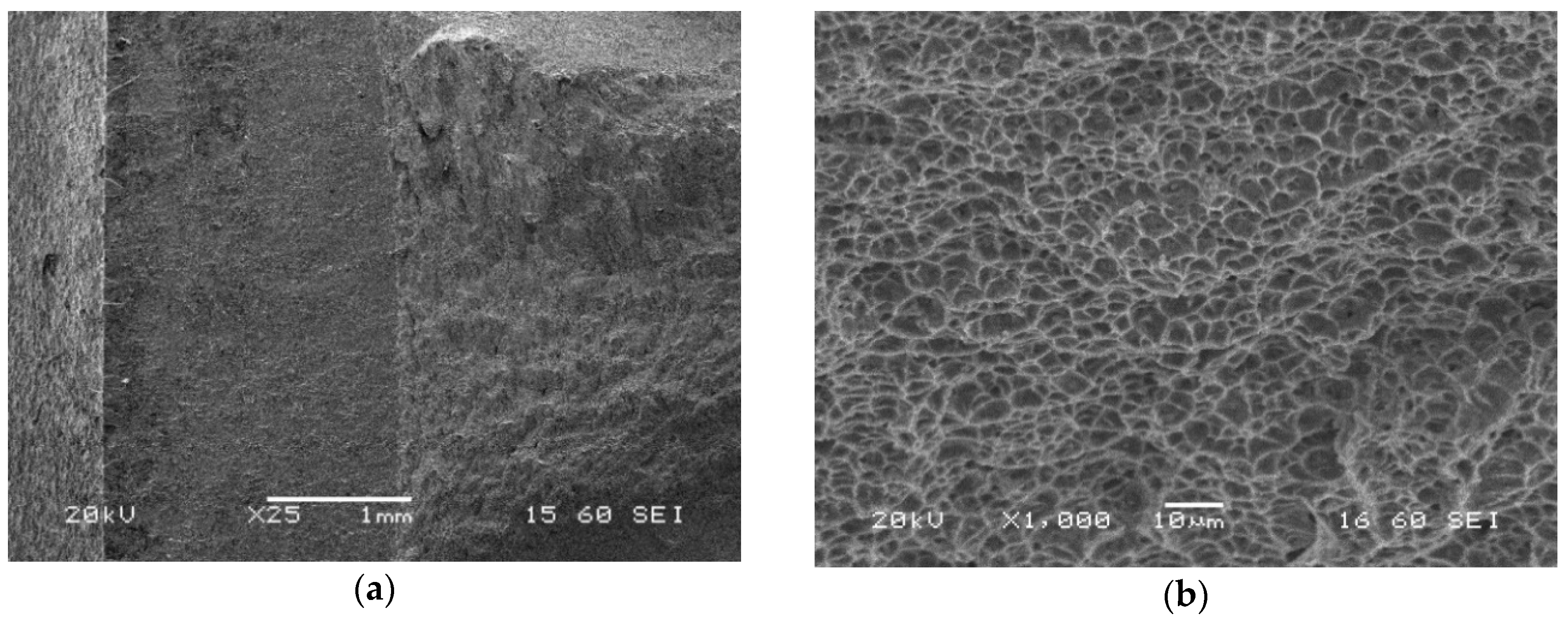 Materials 13 05249 g021