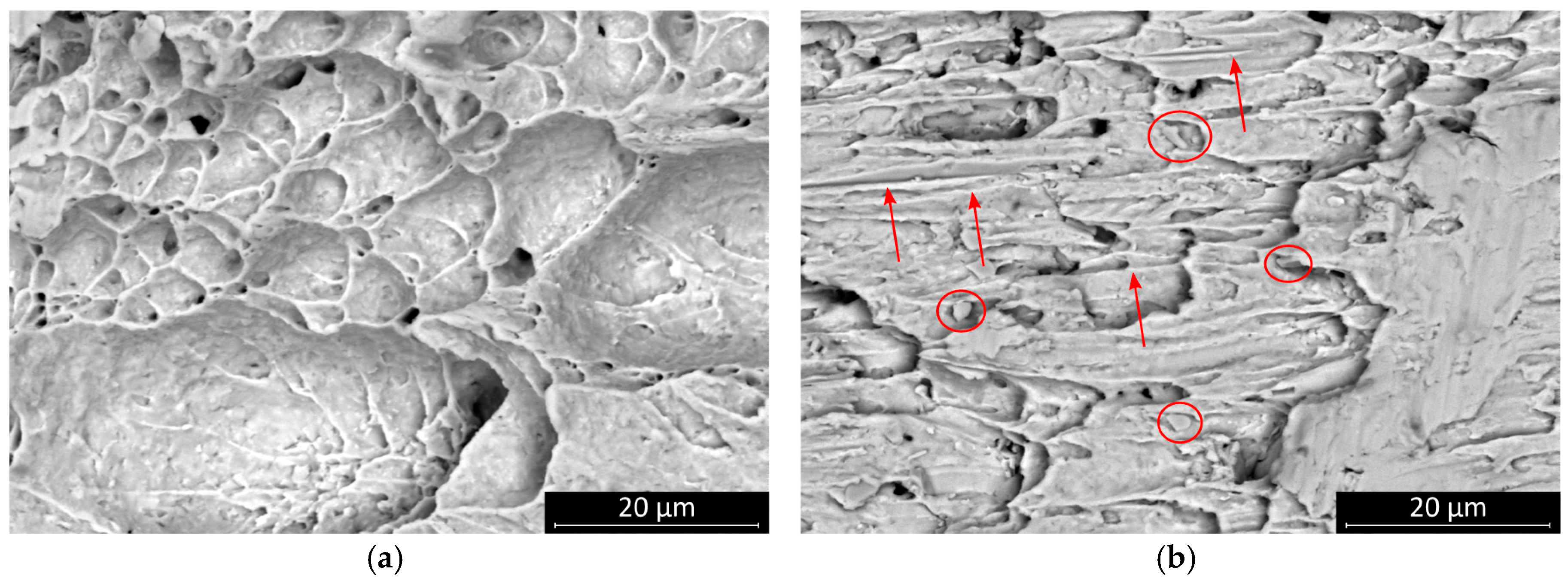 Materials 13 05251 g008 550