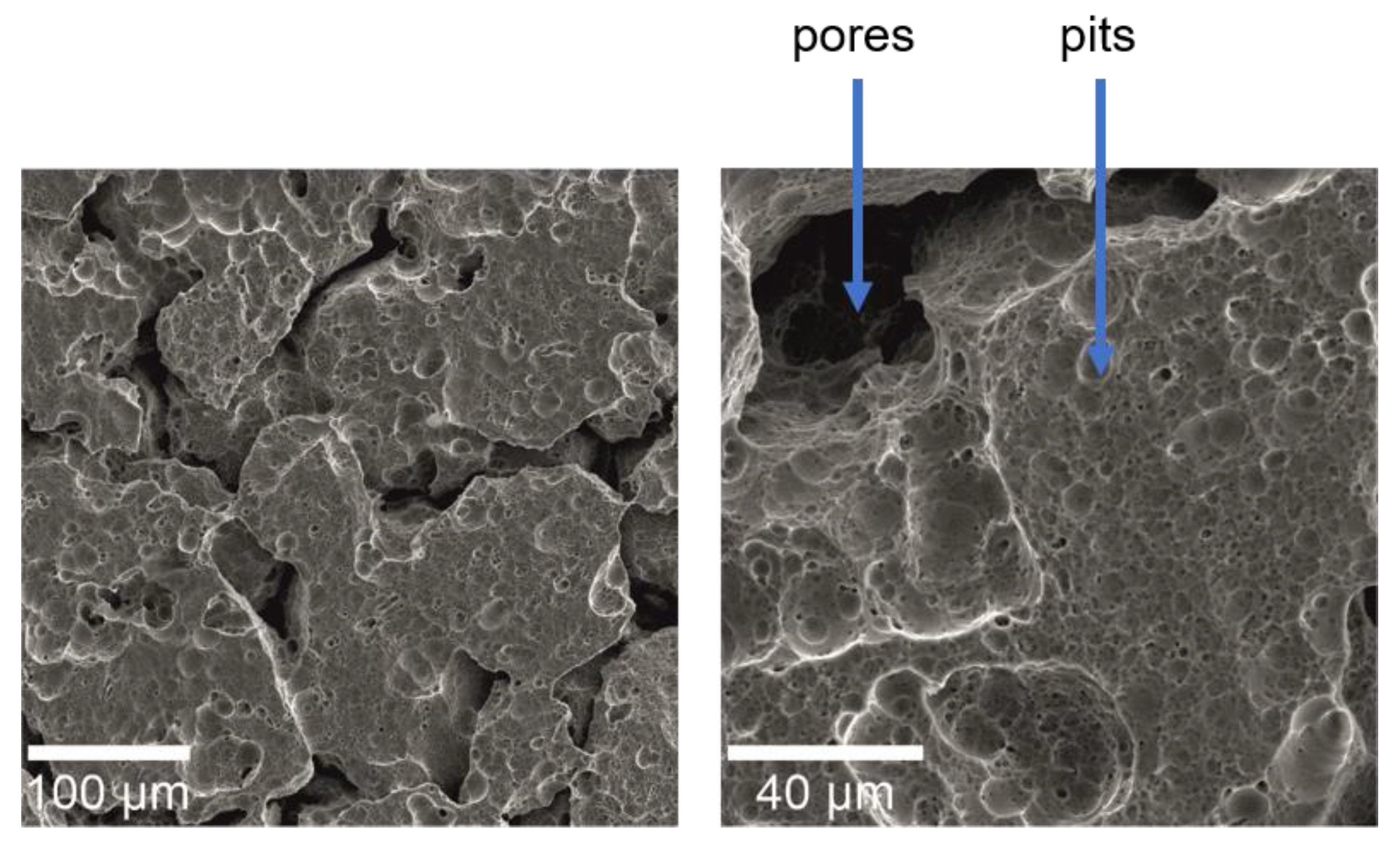 Materials 13 05252 g002