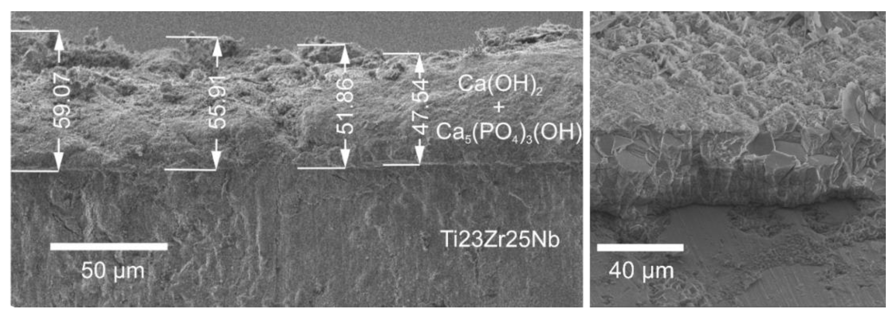 Materials 13 05252 g004