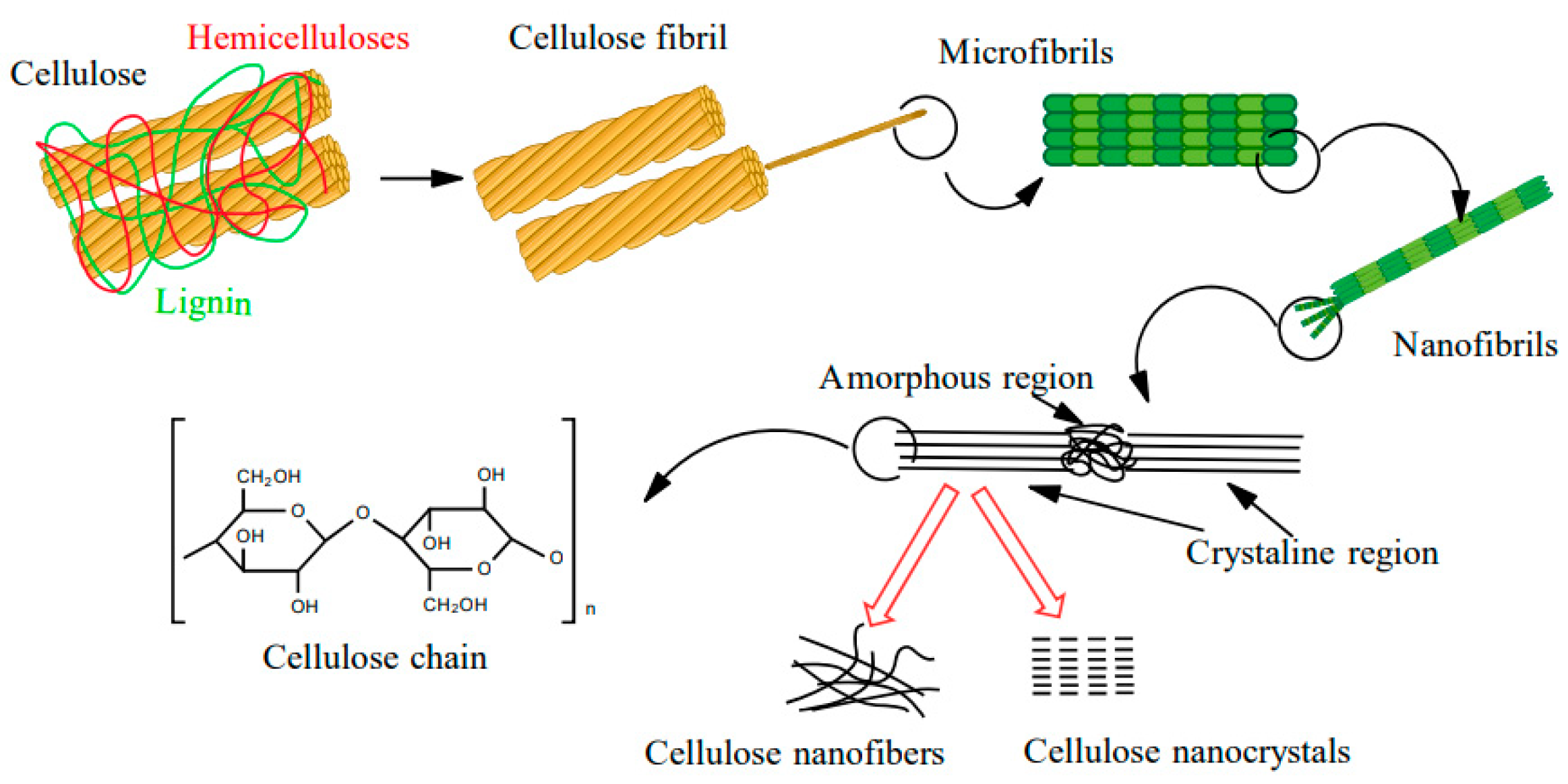 Materials 13 05274 g001