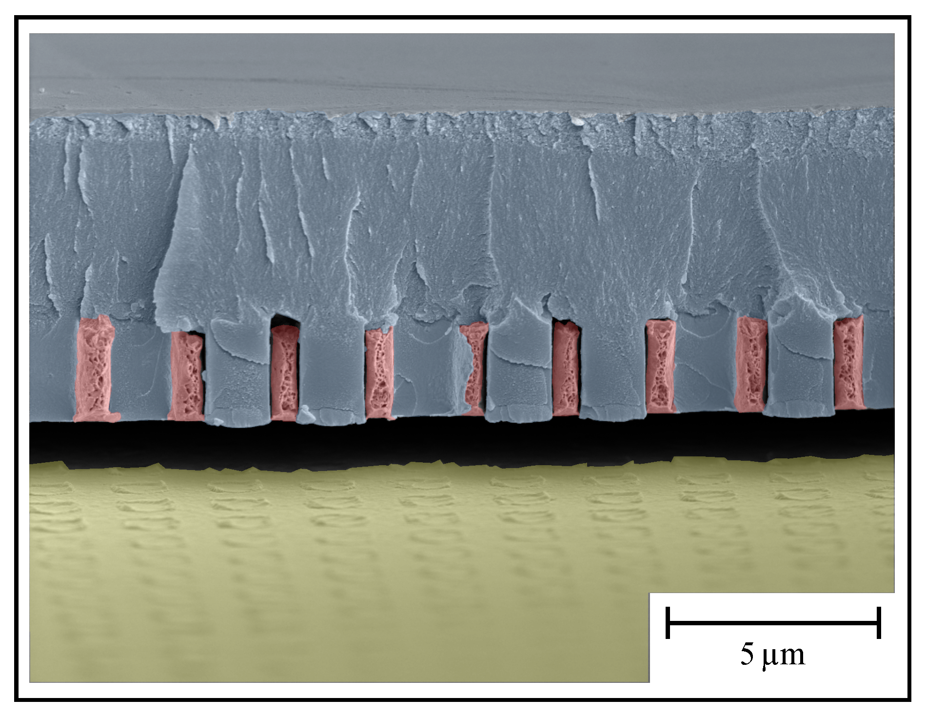 Materials 13 05279 g007 Materials 13 05279 g007