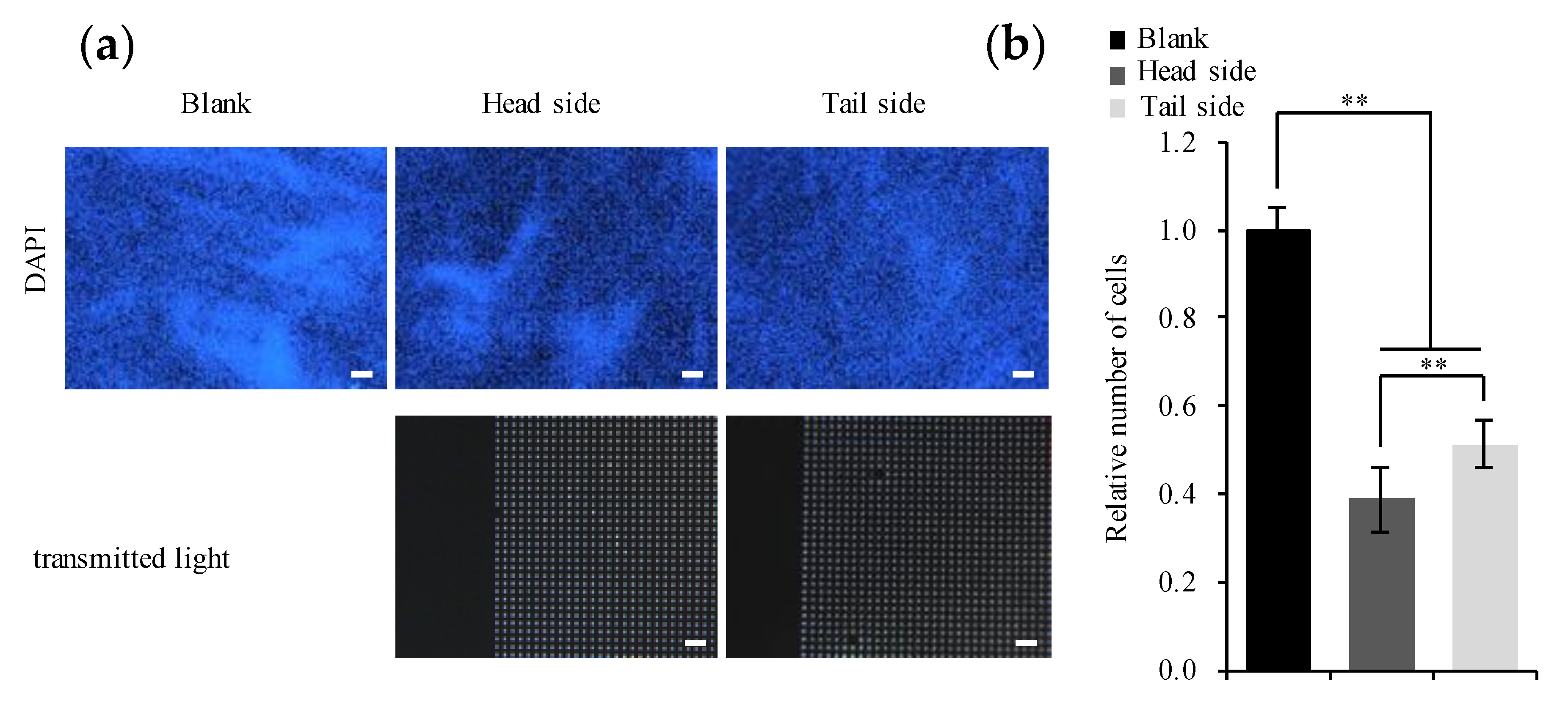 Materials 13 05288 g006