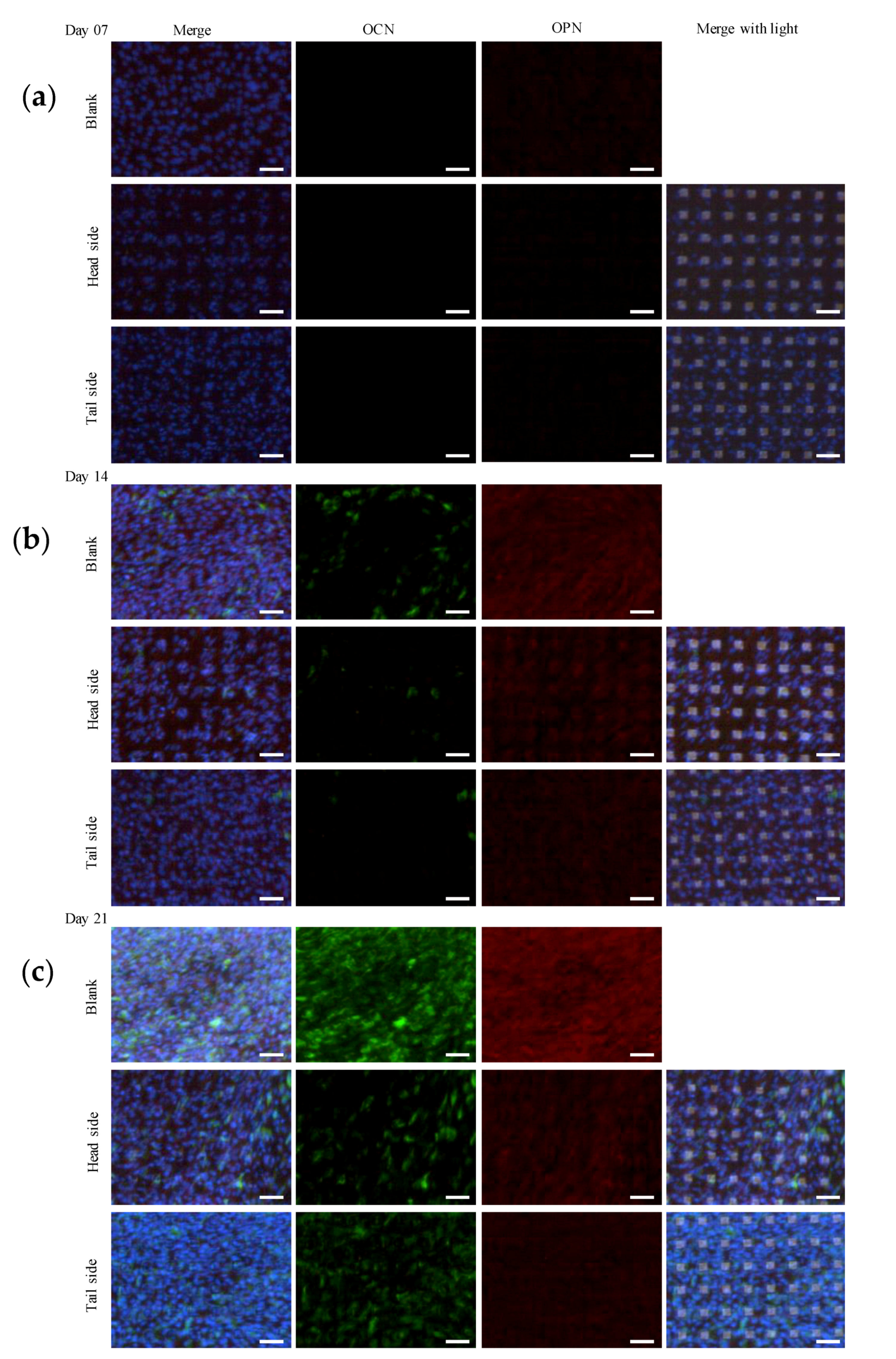 Materials 13 05288 g009