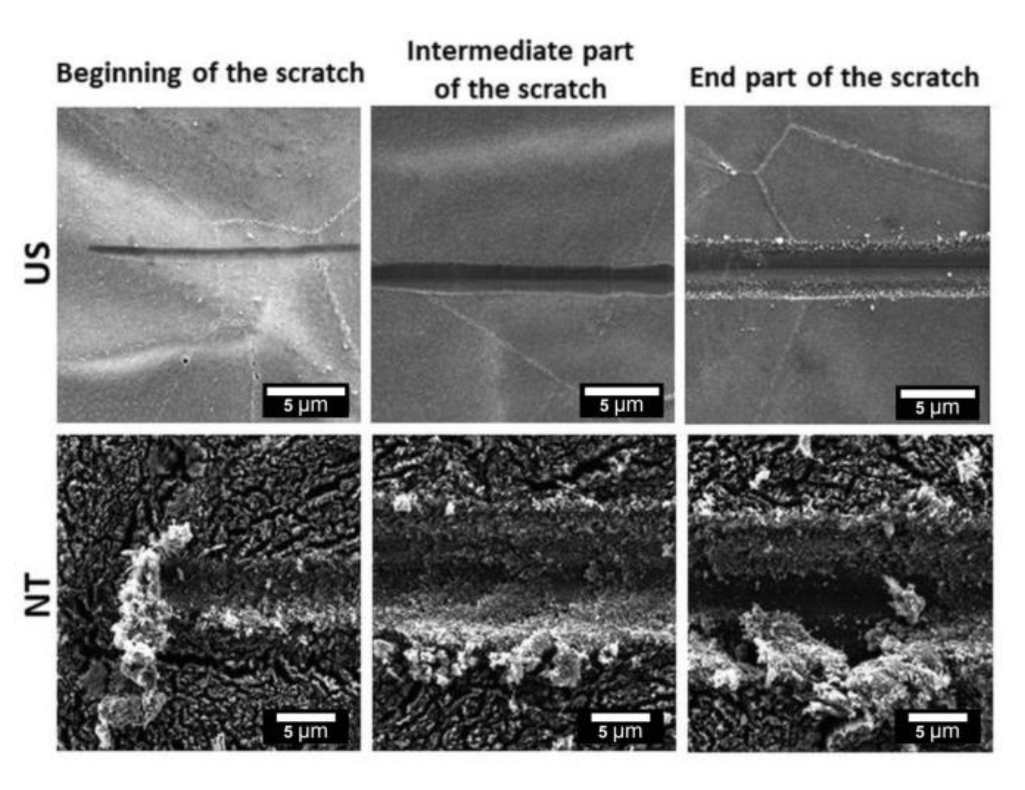 Materials 13 05290 g005 Materials 13 05290 g005