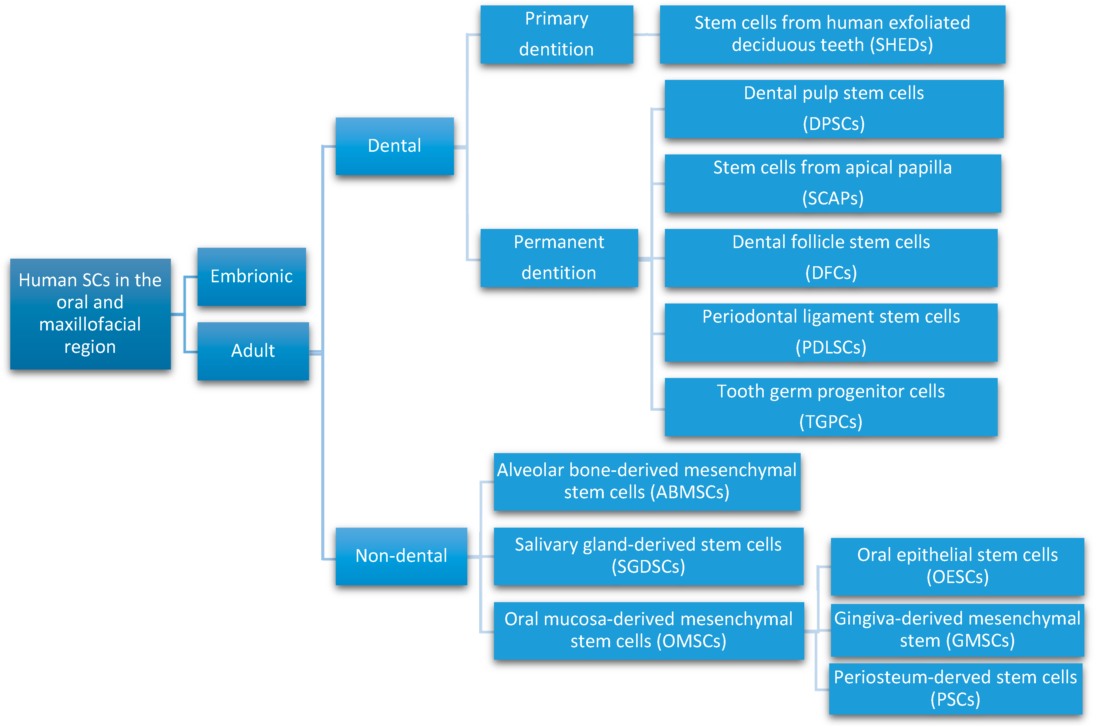 Materials 13 05303 g002