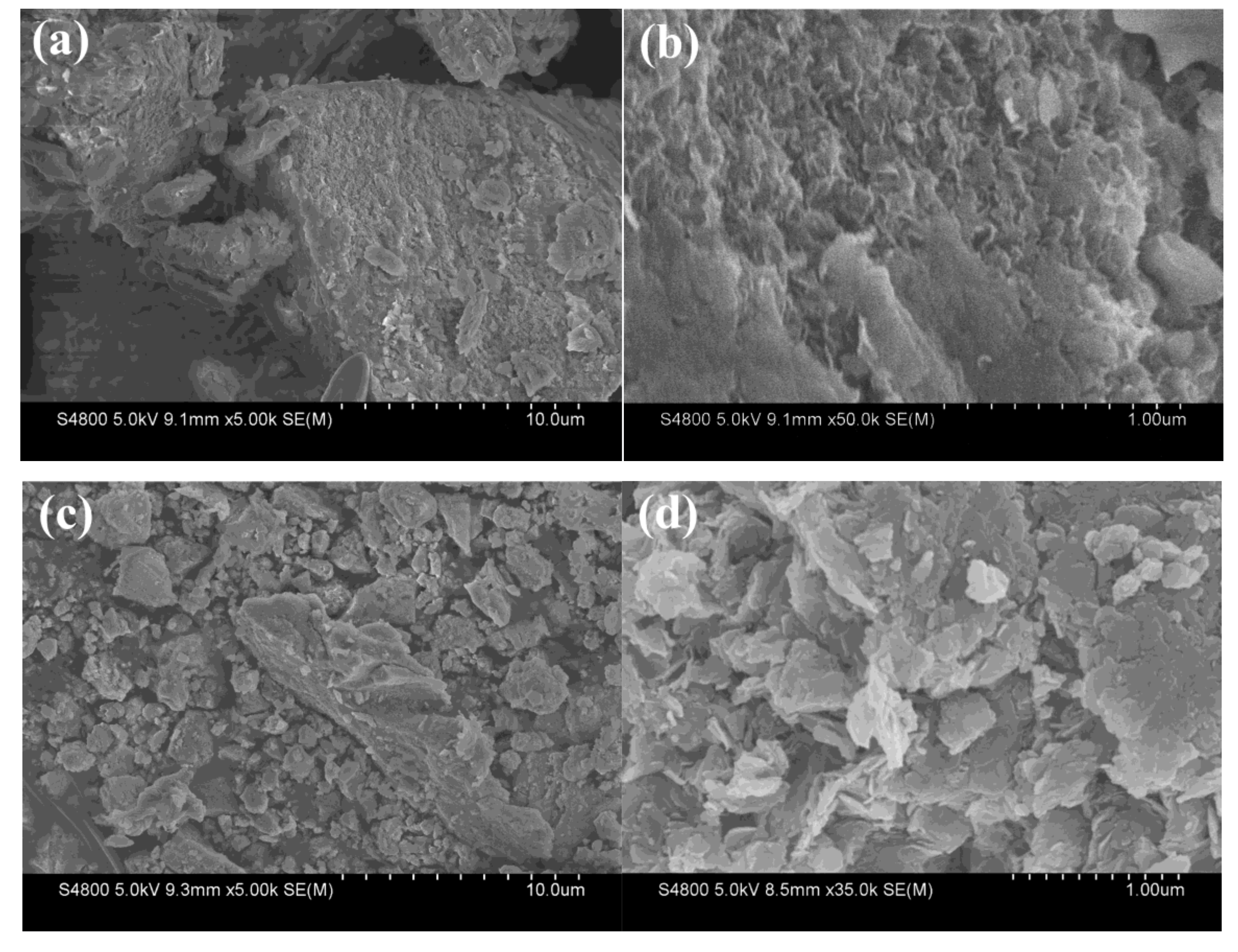 Materials 13 05304 g002a