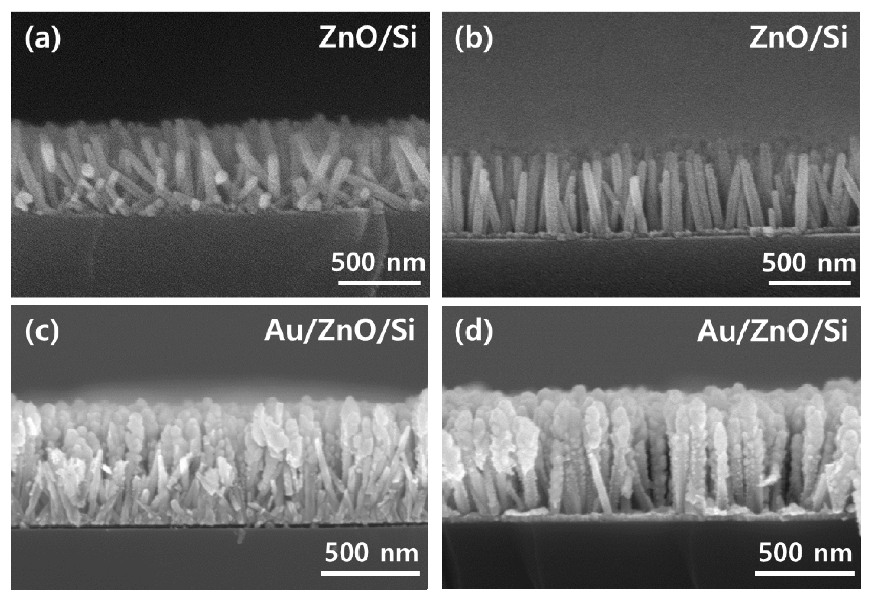 Materials 13 05321 g003